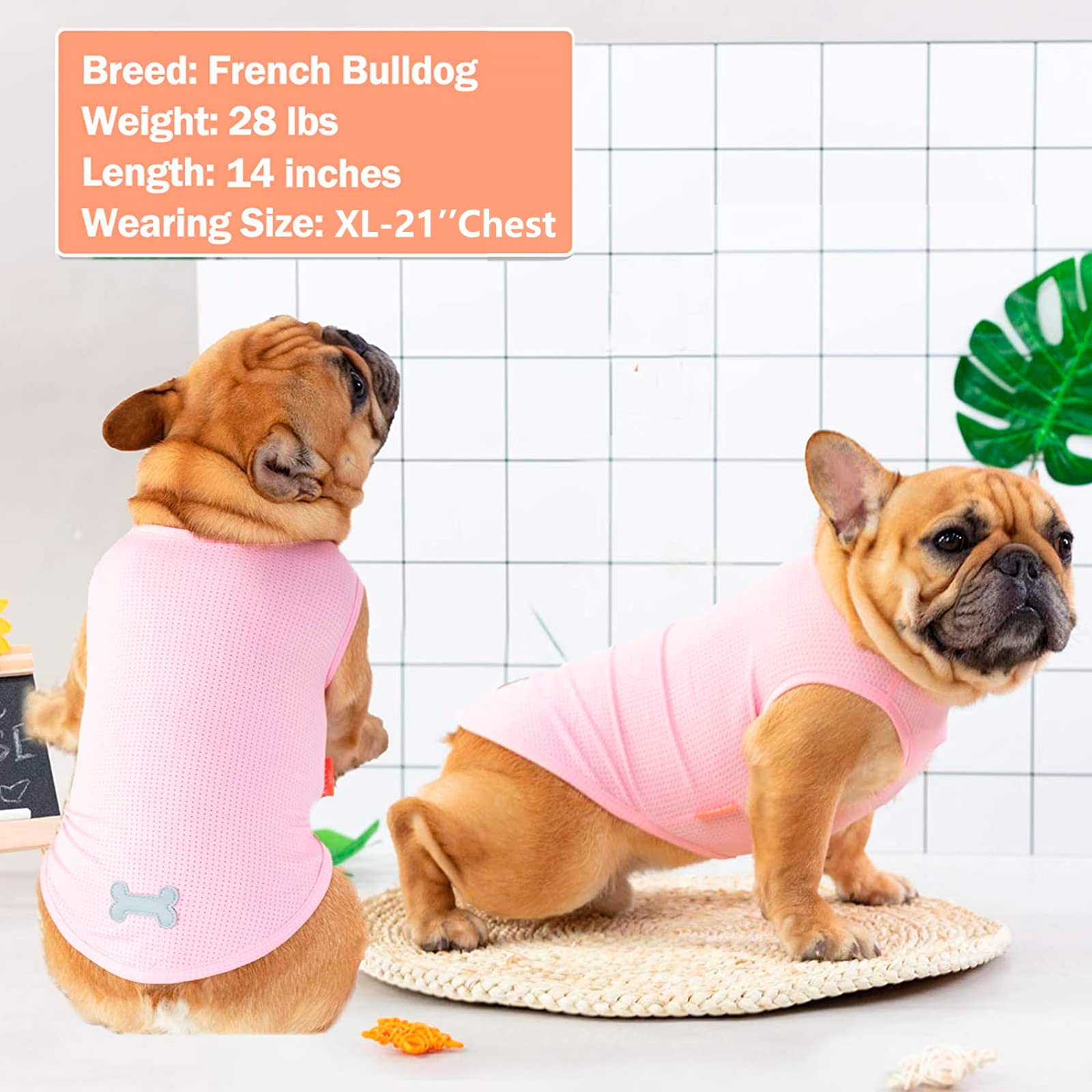 Kyeese 2 Pack Dog Shirts Quick Dry Lightweight Dog T-Shirts With Reflective Label Tank Top Sleeveless Vest Cat Shirts For Summer Lemon Pattern