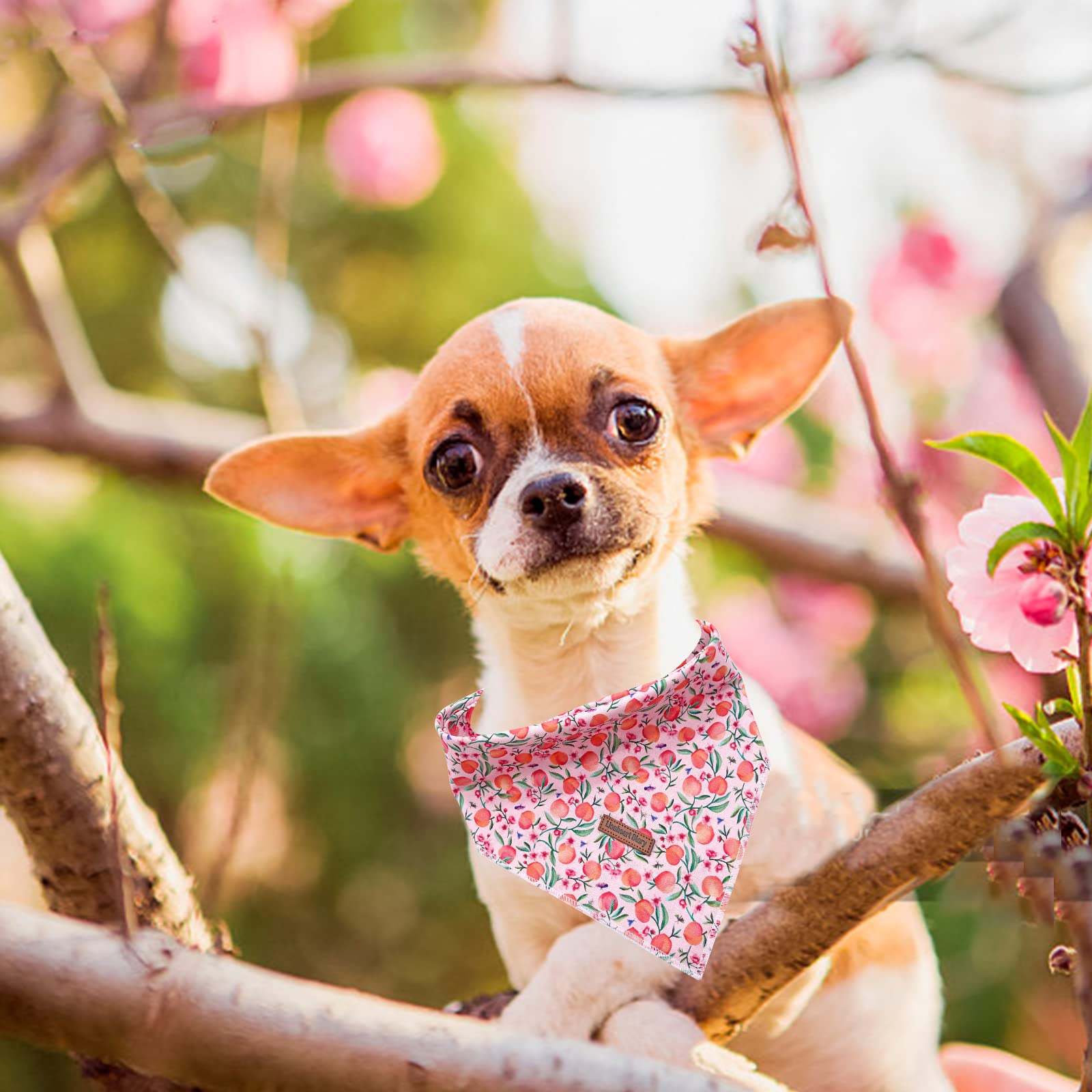 Lionheart Pink Dog Bandana, Washable Soft Scarf, Square Adjustable Bandana For Small Dogs And Cats