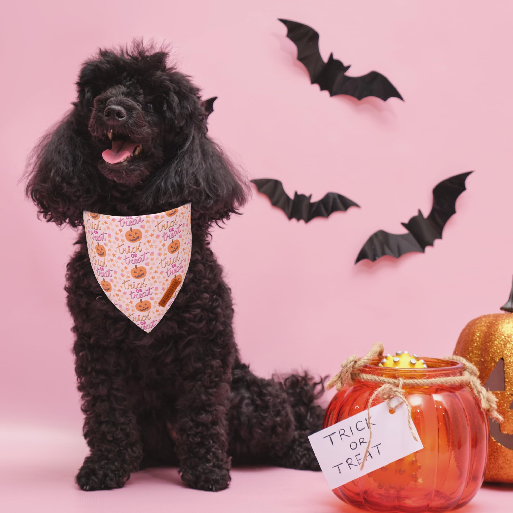 ADOGGYGO Halloween Dog Bandana, Pink Pumpkin Ghost Scarf, Adjustable Fit Female Halloween Bandanas for Small Dogs Puppies (Small