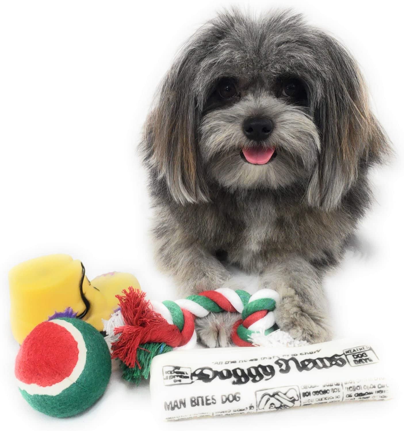 Christmas Stocking For Dogs. Squeaky Newspaper / Boot Toy, A Red, Green And White Tennis Ball And A Red, White And Green Cotton Knotted Rope.