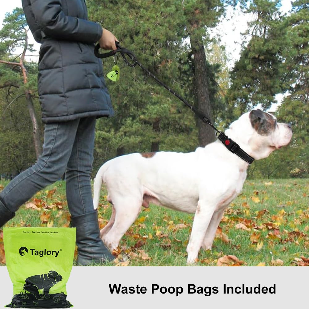 Taglory Rope Dog Leash 4 Ft With Comfortable Padded Handle, Highly Reflective Threads Leash For Medium Large Dogs, 1/2 Inch, Bla