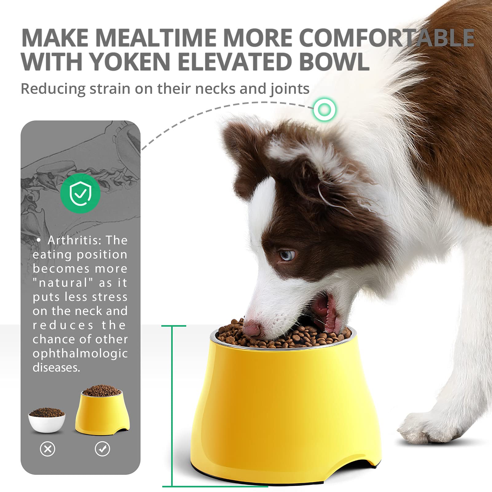 yoken Elevated Dog Bowls, [Prevention of Vertebrae Disease] [Super Non-Slip] Dog Bowl with Stainless Steel Bowl, High Capacity D
