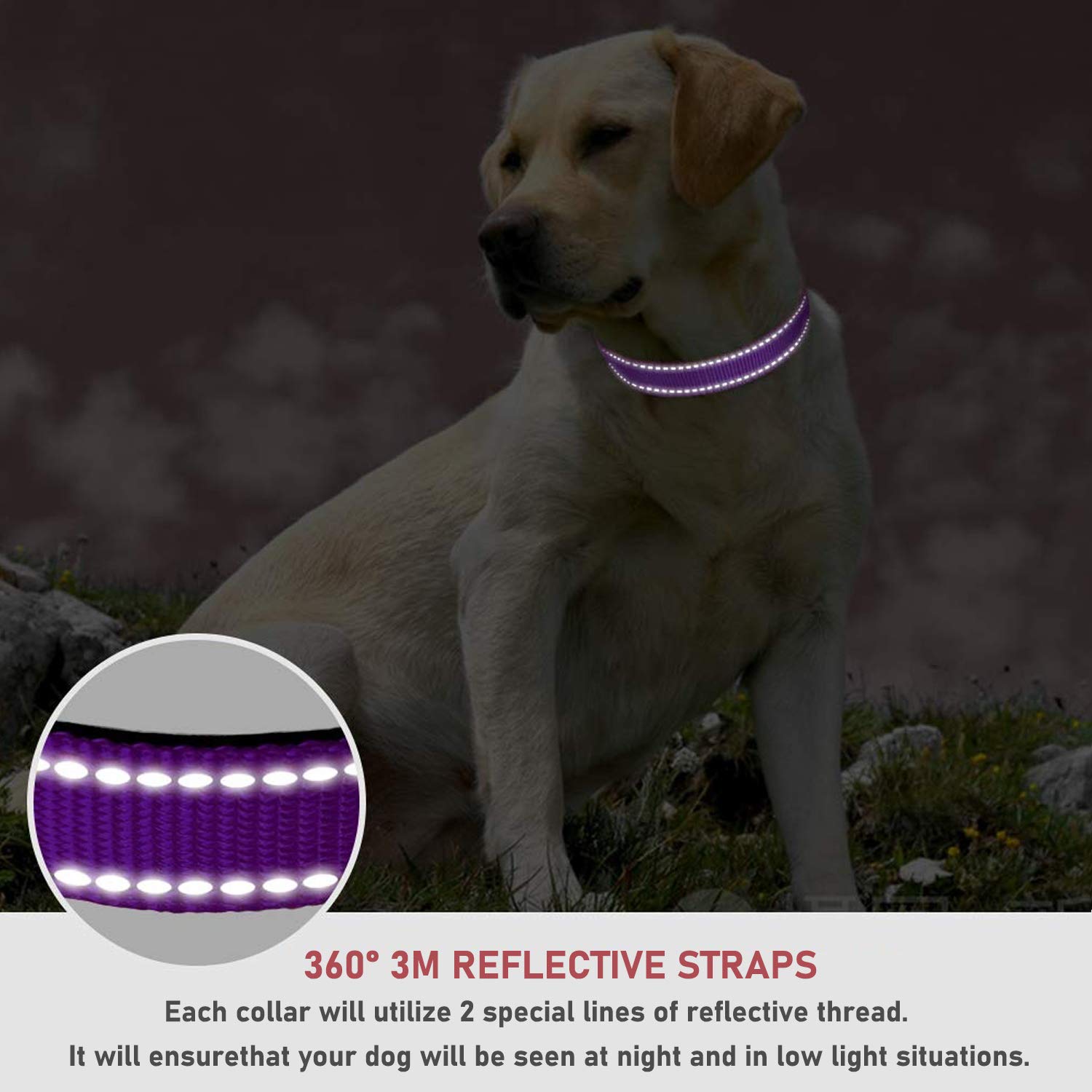 Reflective Dog Collar With Buckle Adjustable Safety Nylon Collars For Small Medium Large Dogs, Purple Xl