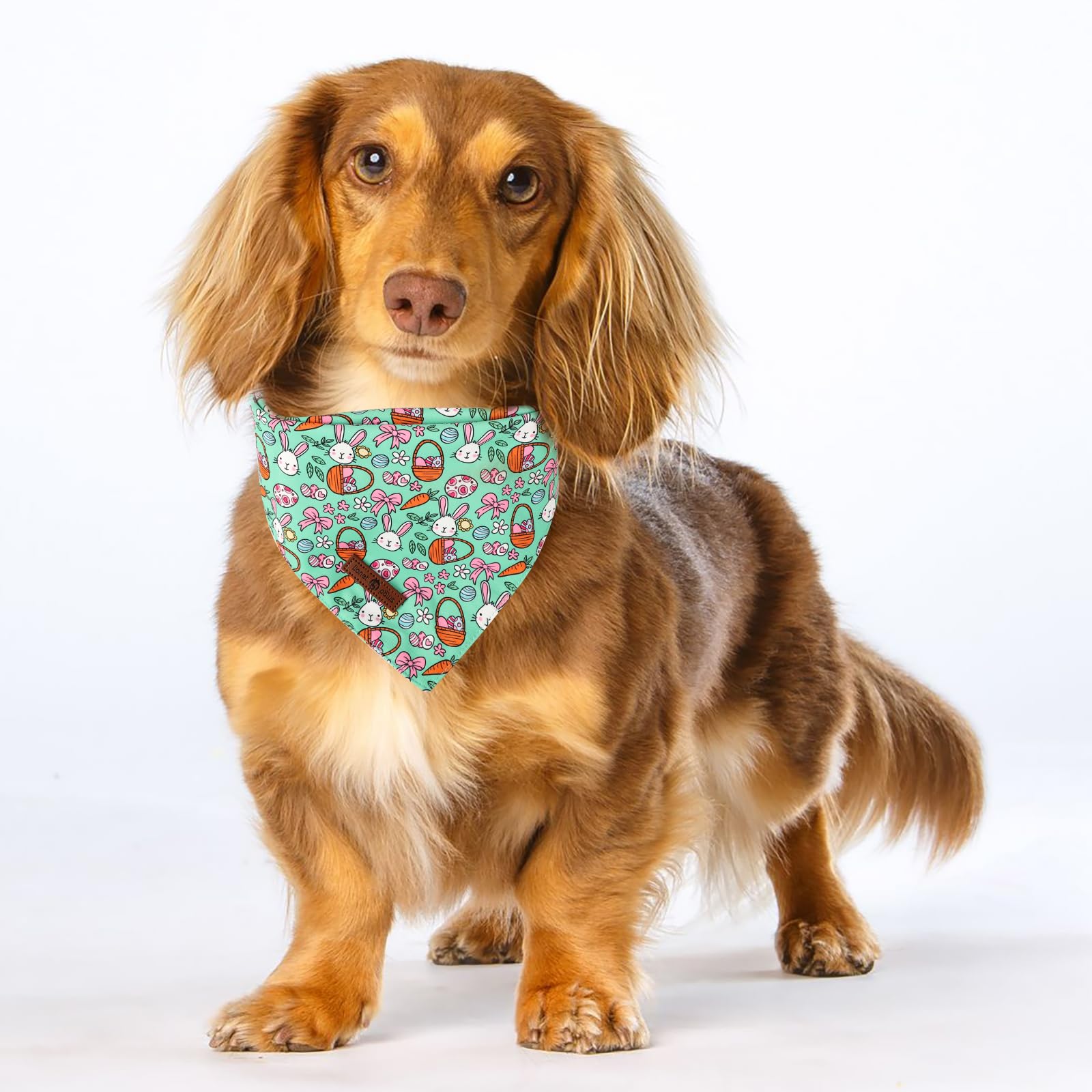 Lionet Paws Easter 2Pcs Dog Bandanas, Pink Rabbit Dog Scarf Bib Premium Fabric,Cute Rabbit Claw Flower Bandanas For Small Medium