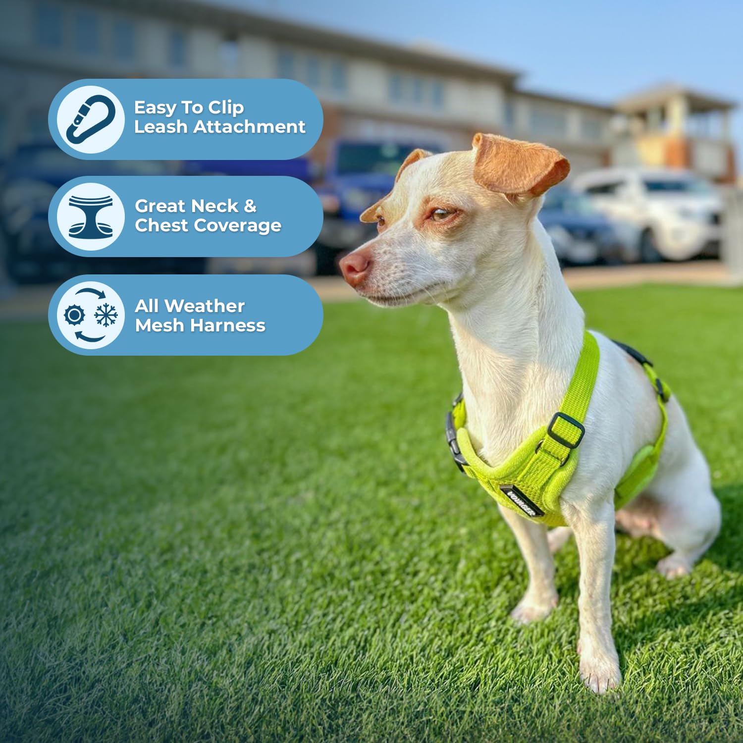 Voyager Step-In Air Dog Harness - All Weather Mesh Step In Vest Harness For Small And Medium Dogs And Cats By Best Pet Supplies - Harness (Lime Green), Xxxs (Chest: 9.5-10.5' * Fit Cats)