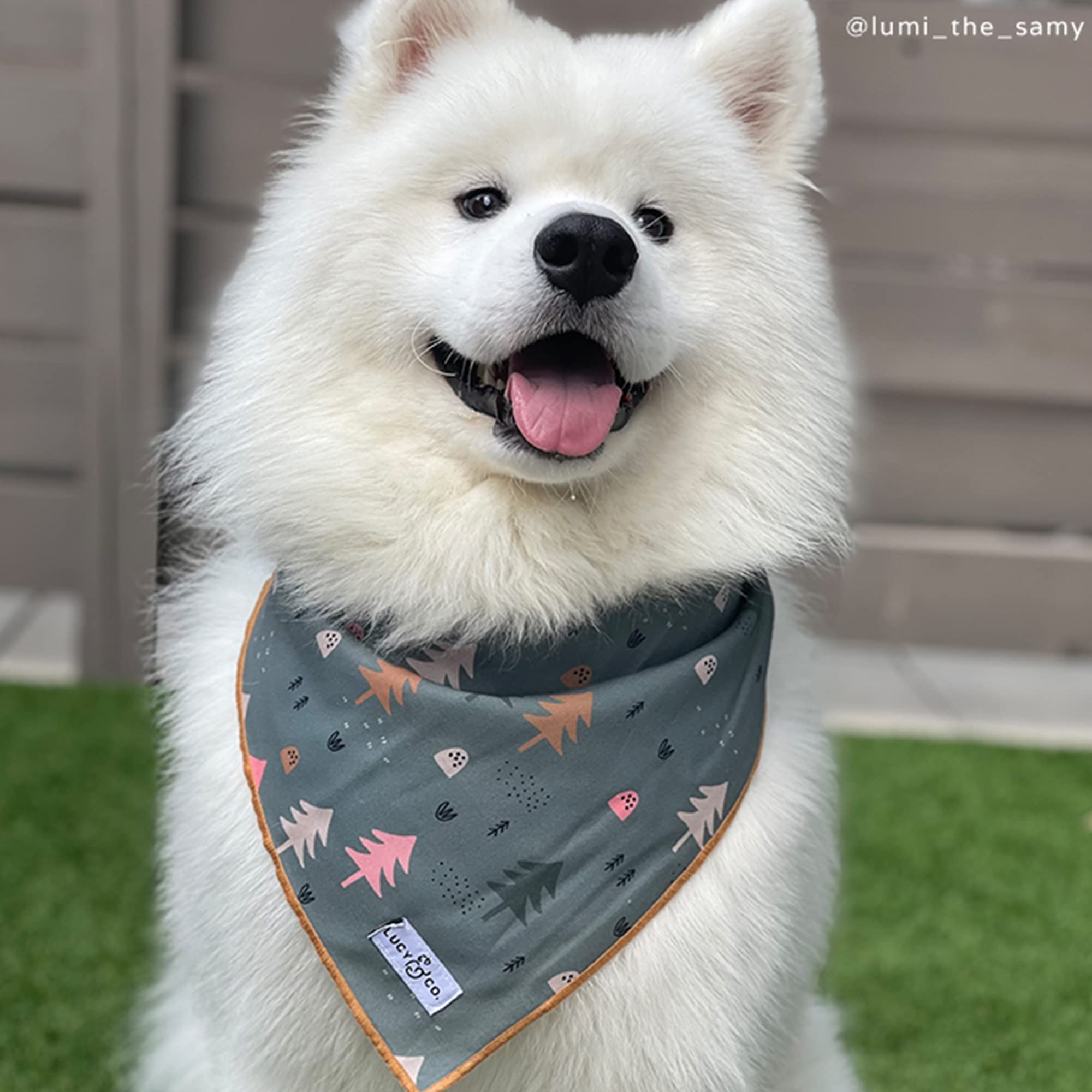 Lucy & Co. Take A Hike - Durable Comfortable Dog Bandana - Designer Puppy Accessory - Machine Washable - Small Blue Trees Bandan