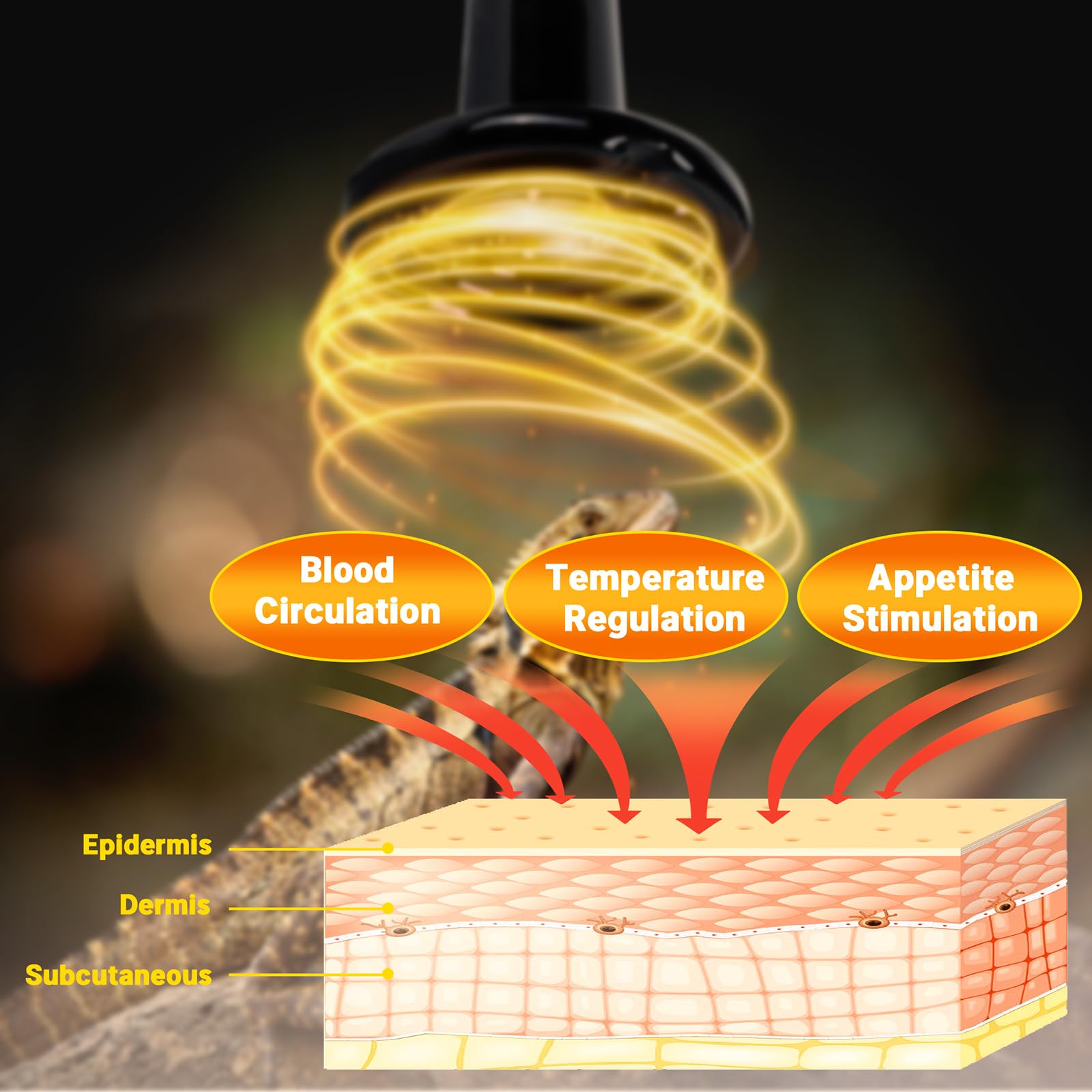 Hartompet 200W Ceramic Heat Emitter - Black Reptile Heat Bulb - Infrared Reptile Heat Lamp For Lizards, Amphibians, Turtles, Dog