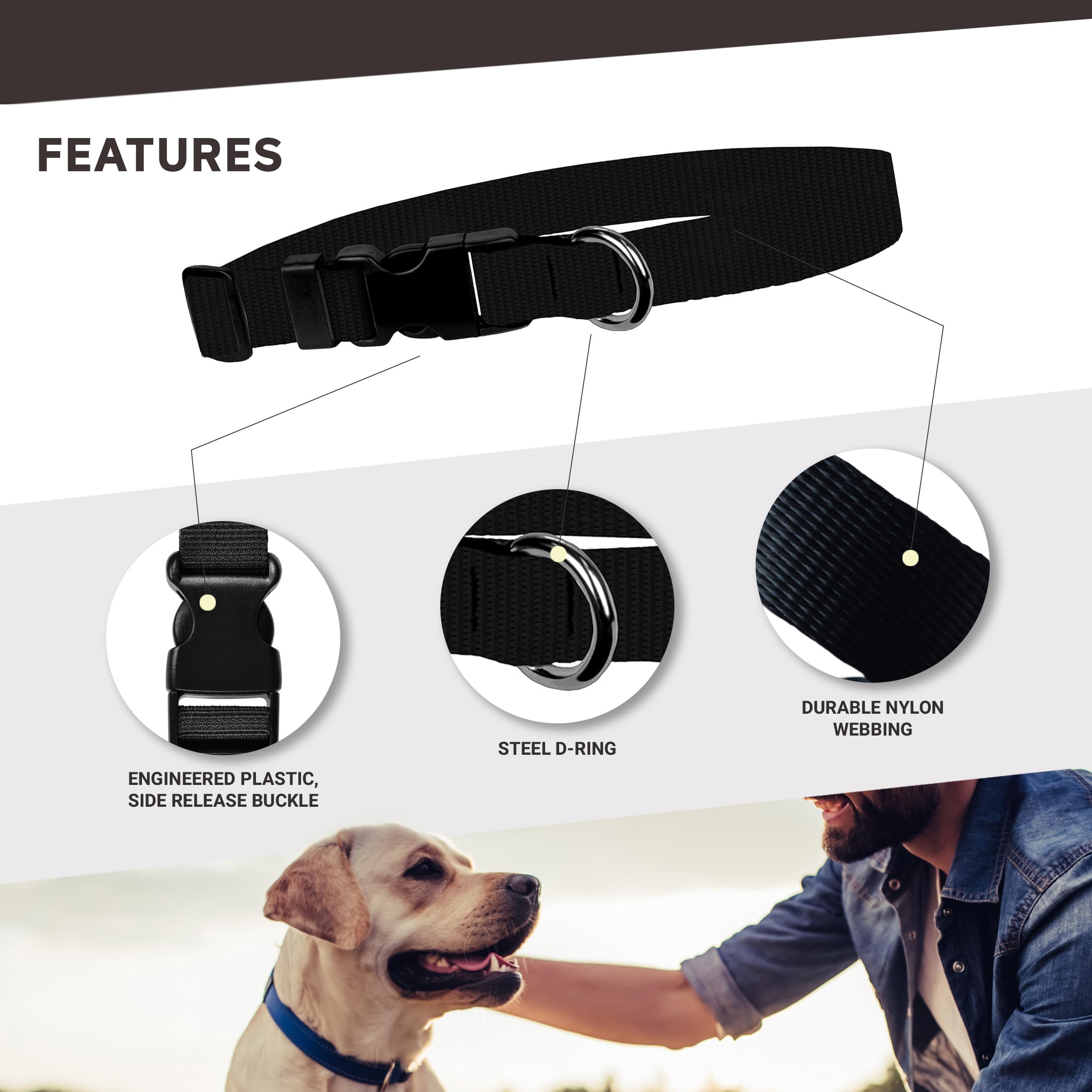 Moose Pet Wear Dog Collar – University Of Iowa Hawkeyes Adjustable Pet Collars – 3/4 Inch Wide, Medium, Argyle Hawk