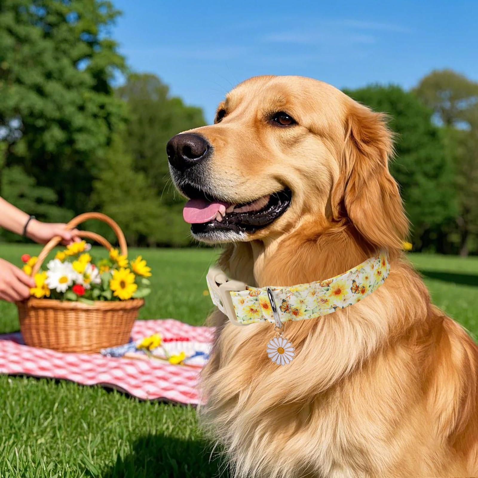 Babole Pet Adjustable Floral Dog Collar, Yellow Sunflower&Butterfly Dog Collars For Giant Large Dogs, Lightweight Quick-Release