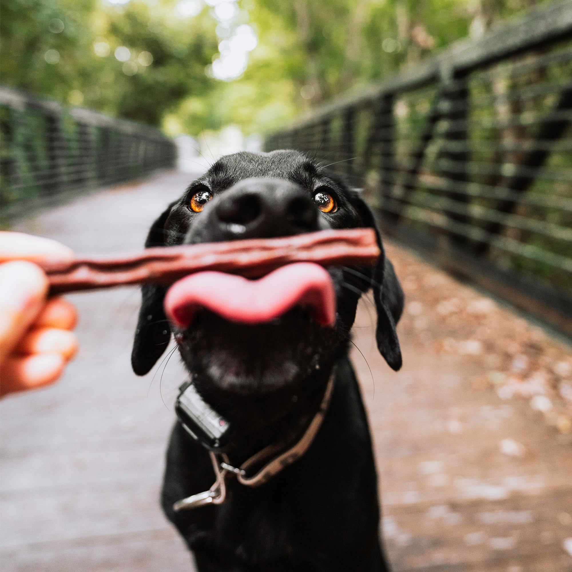 Happy Howie Dog Beef Woof Stix 11 Inch 45 Pack