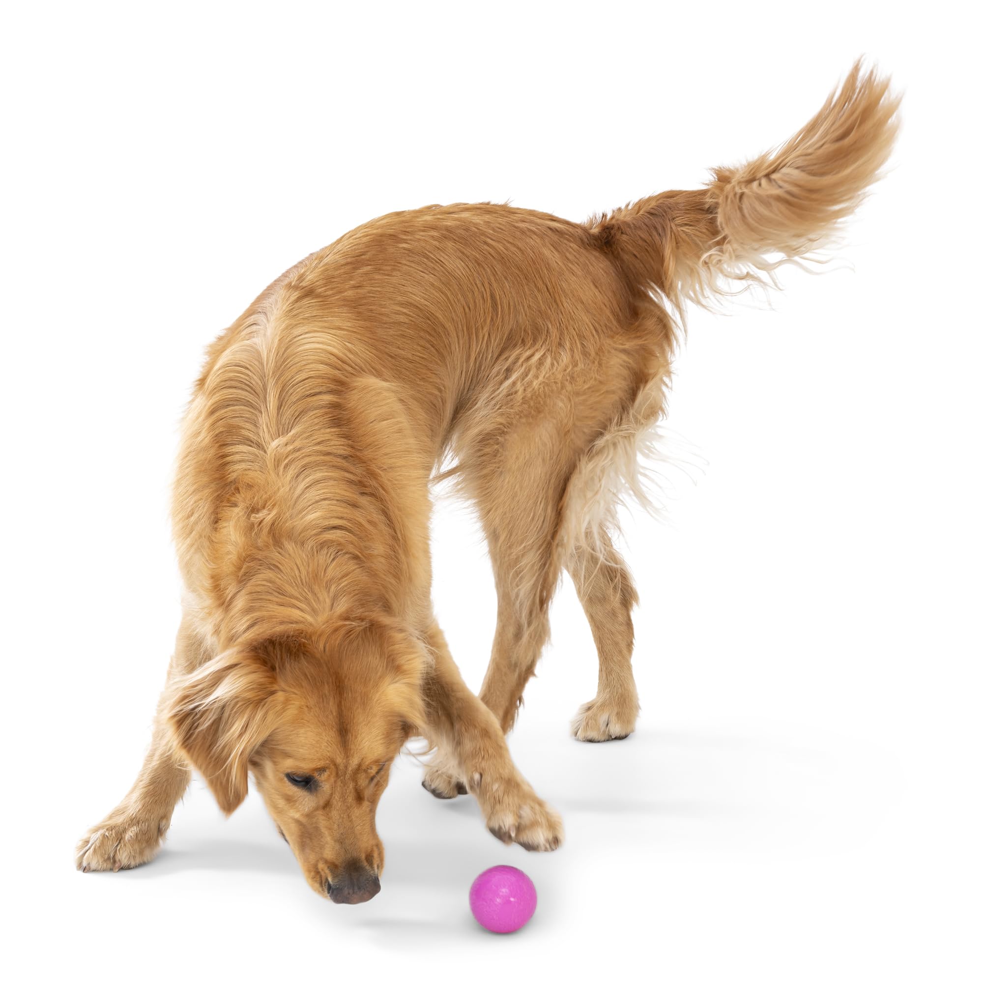 West Paw Boundr Ball Dog Fetch Toy - Bouncing Toys For Dogs, Fetch, Catch, Chewing, Play - Floatable, Recyclable Balls - Small D