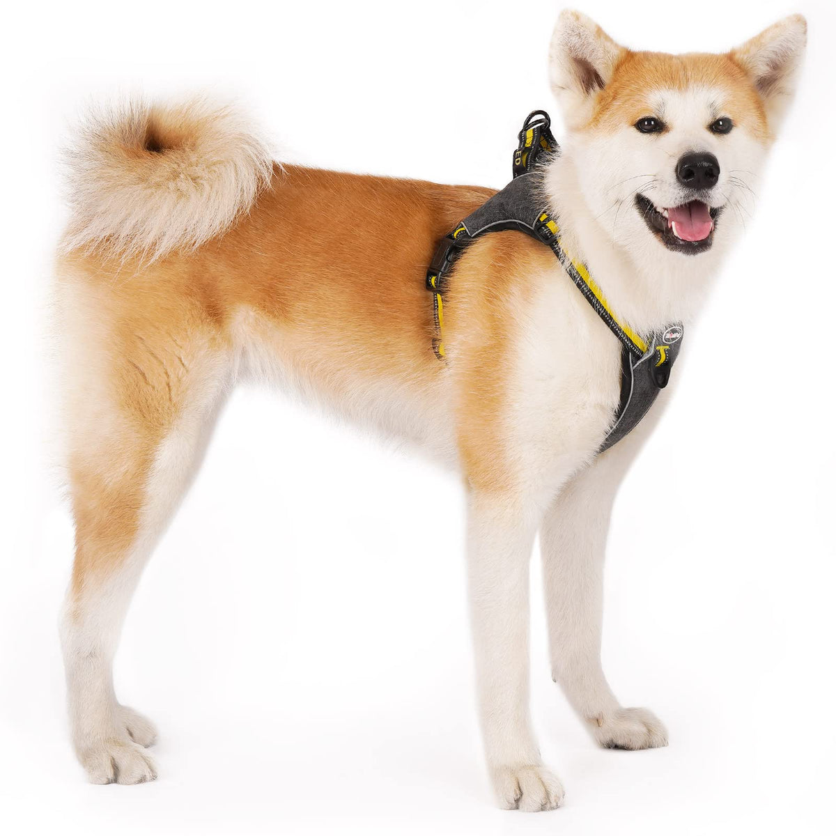 Thinkpet Step In Dog Harness For Large Dogs No Pull, Front Clip No Choke Free Escape Proof Padded Breathable Reflective Halter F