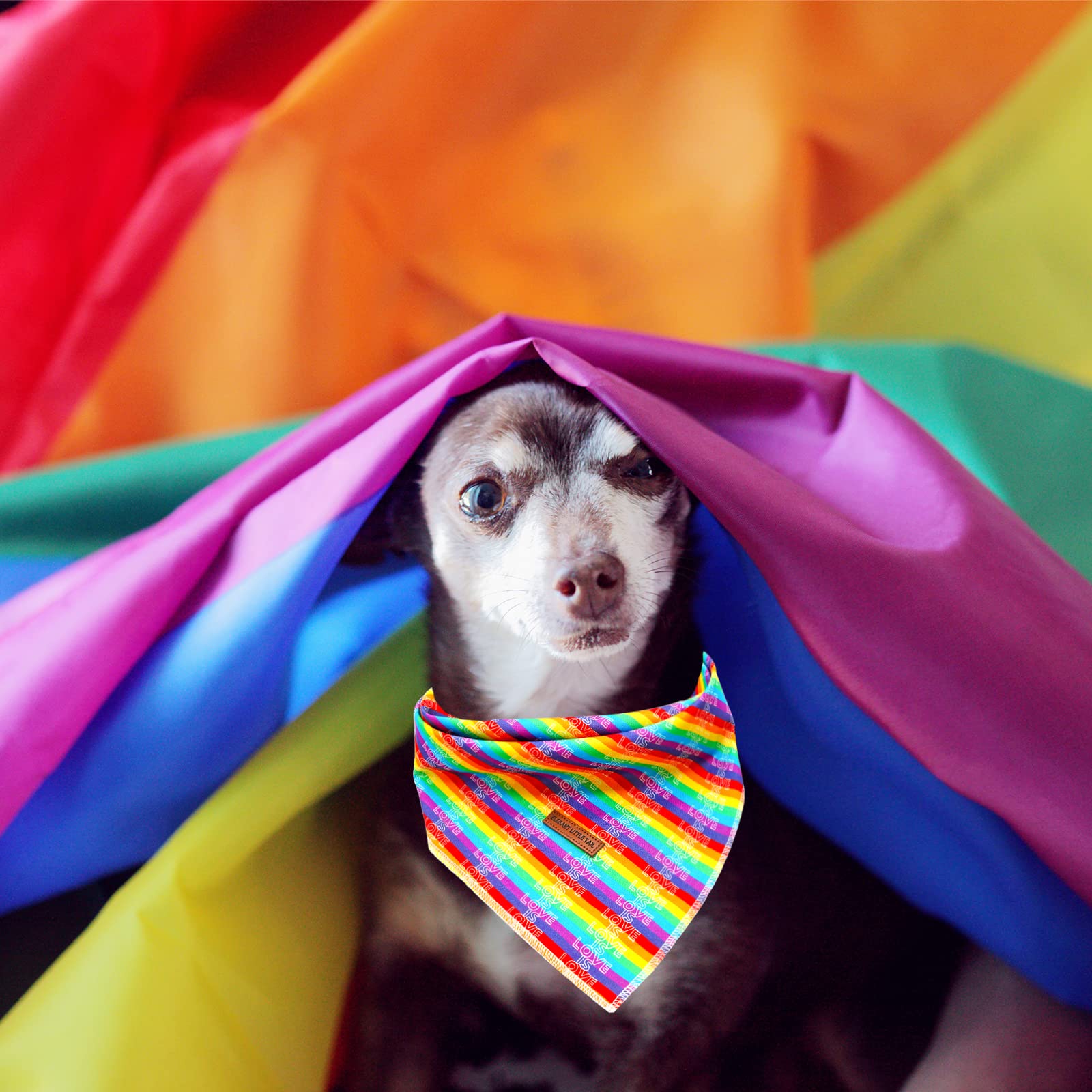 Elegant Rainbow Dog Bandana, 1Pc Washable Scarf Lgbt Female Or Male Square Kerchief Adjustable Pet Bandana For Medium Large Dogs