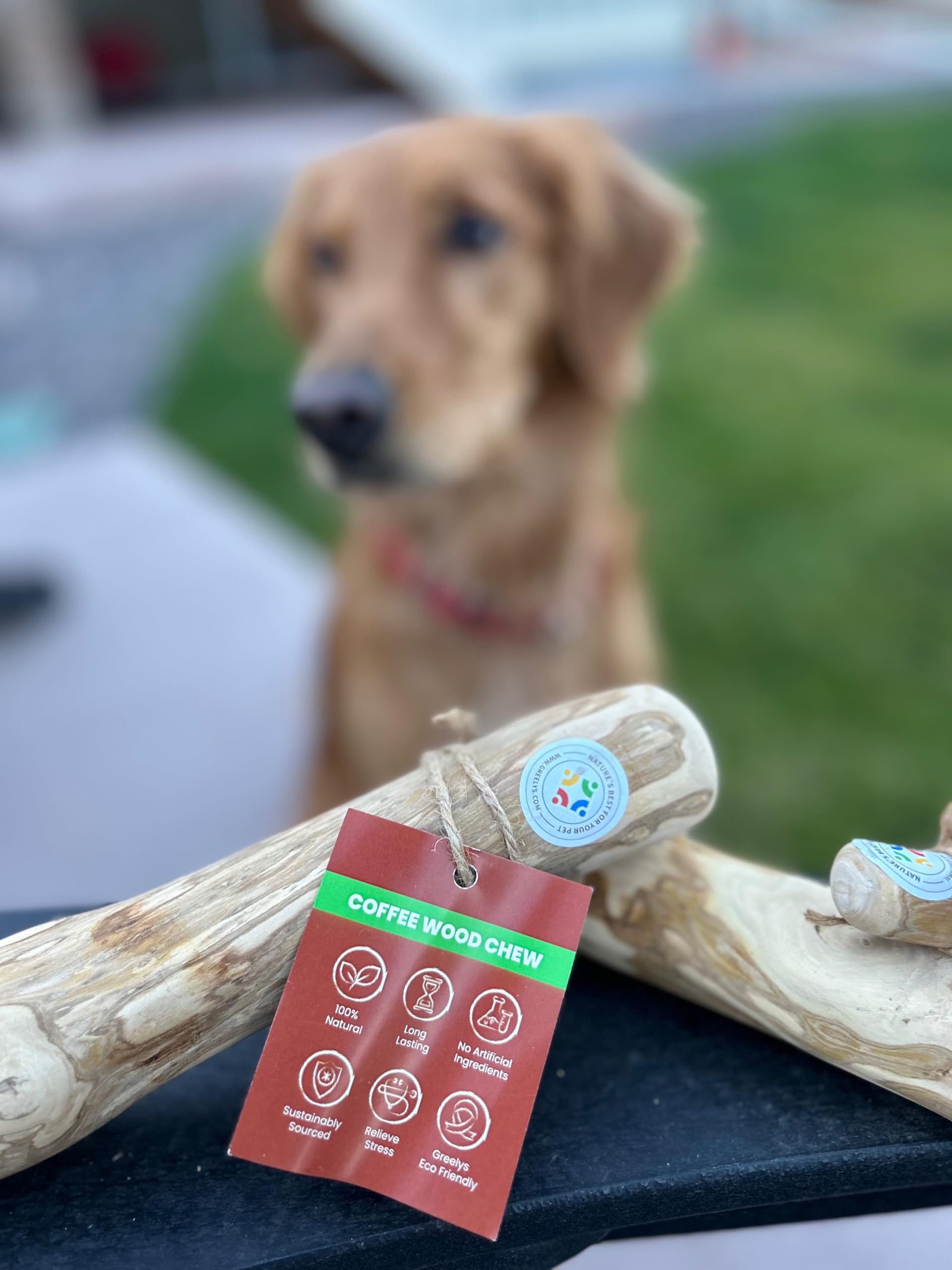 Greelys Eco-Friendly Coffee Wood Chew: Nature'S Best For Your Pet (Small)