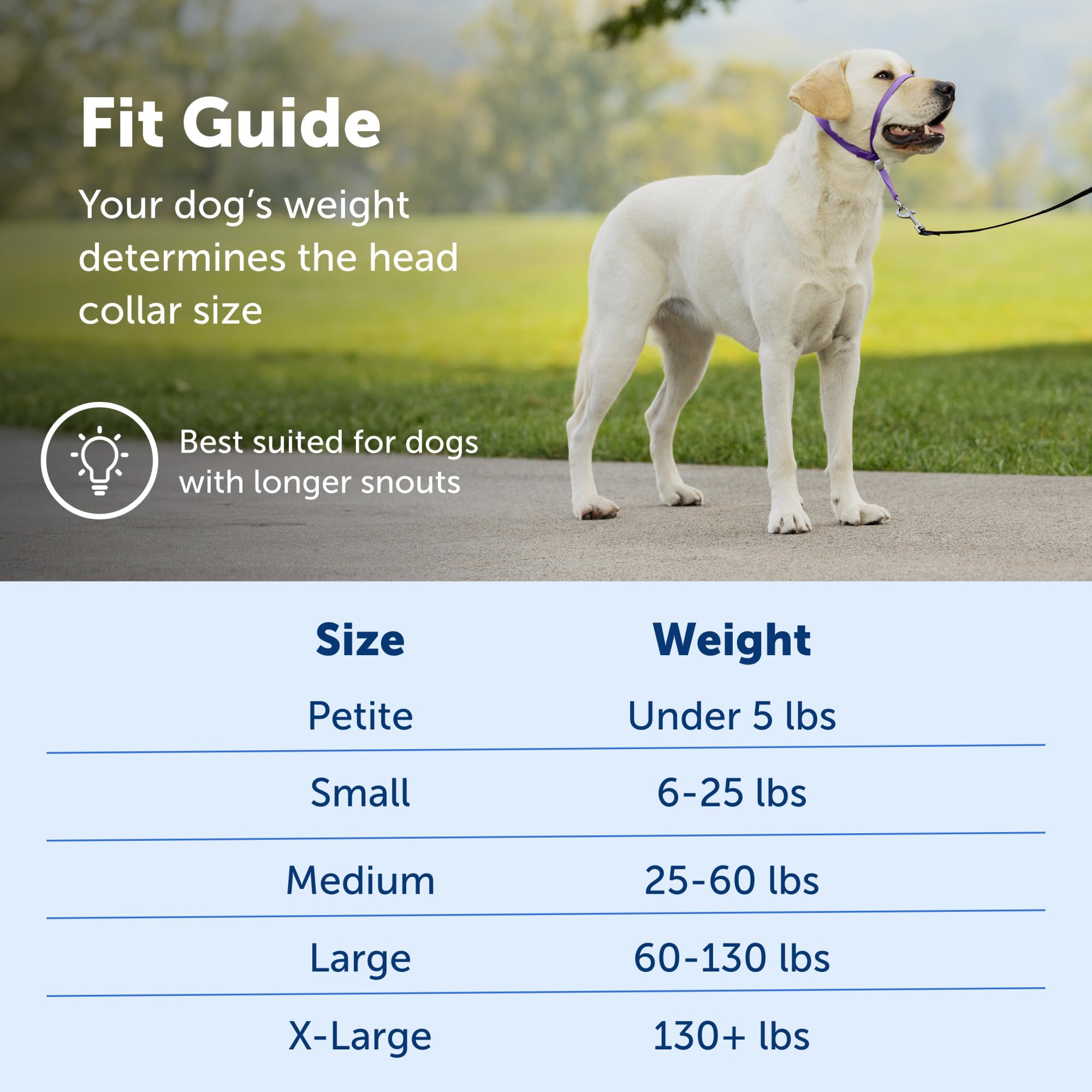 Petsafe Gentle Leader No-Pull Dog Headcollar - The Ultimate Solution To Pulling - Redirects Your Dog'S Pulling For Easier Walks - Helps You Regain Control - Large, Red