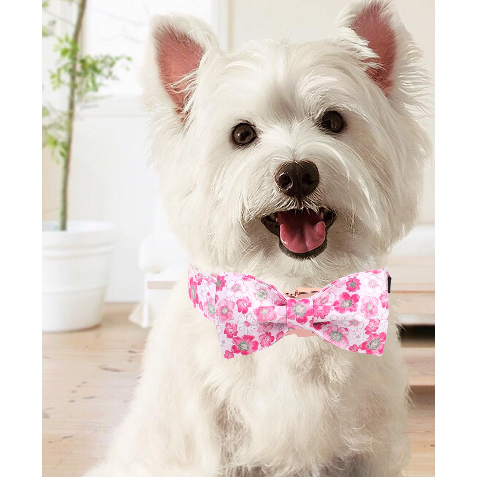 Unique Style Paws Summer Dog Collar With Bow, Lovely Bow Tie Dog Collar,Pink Flower Dog Bow For Girl,Boy Dogs,Cats,Xl,16-26In