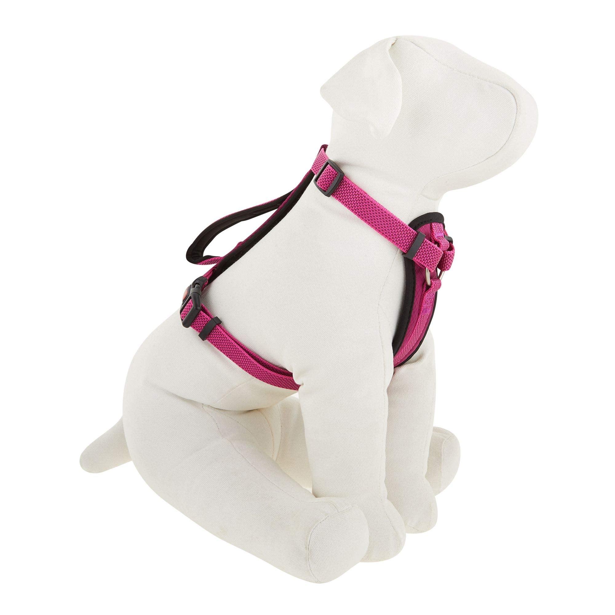 Kong Comfort Padded Chest Plate Dog Harness Offered By Barker Brands Inc(Medium, Pink).