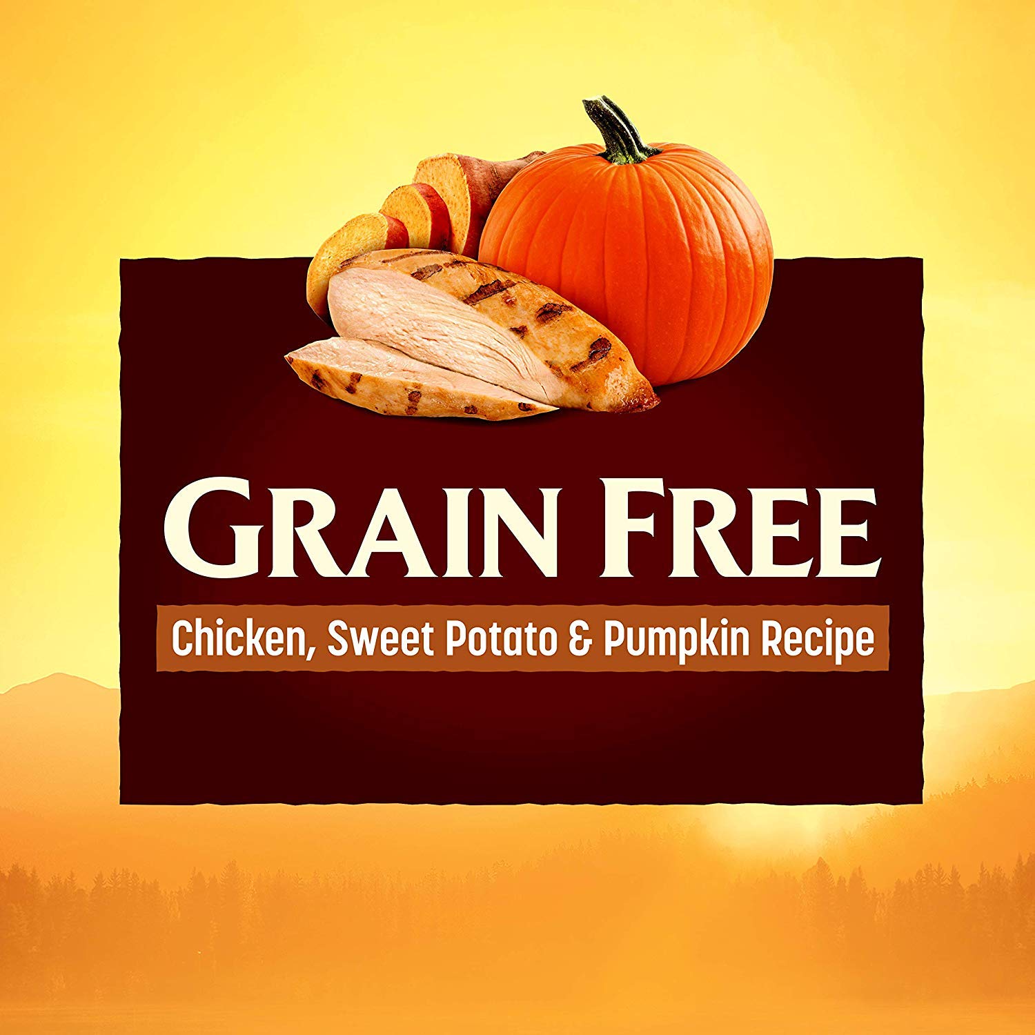 Natures Recipe Grain Free Small Breed Dry Dog Food, Chicken, Sweet Potato & Pumpkin Recipe, 4 lb. Bag