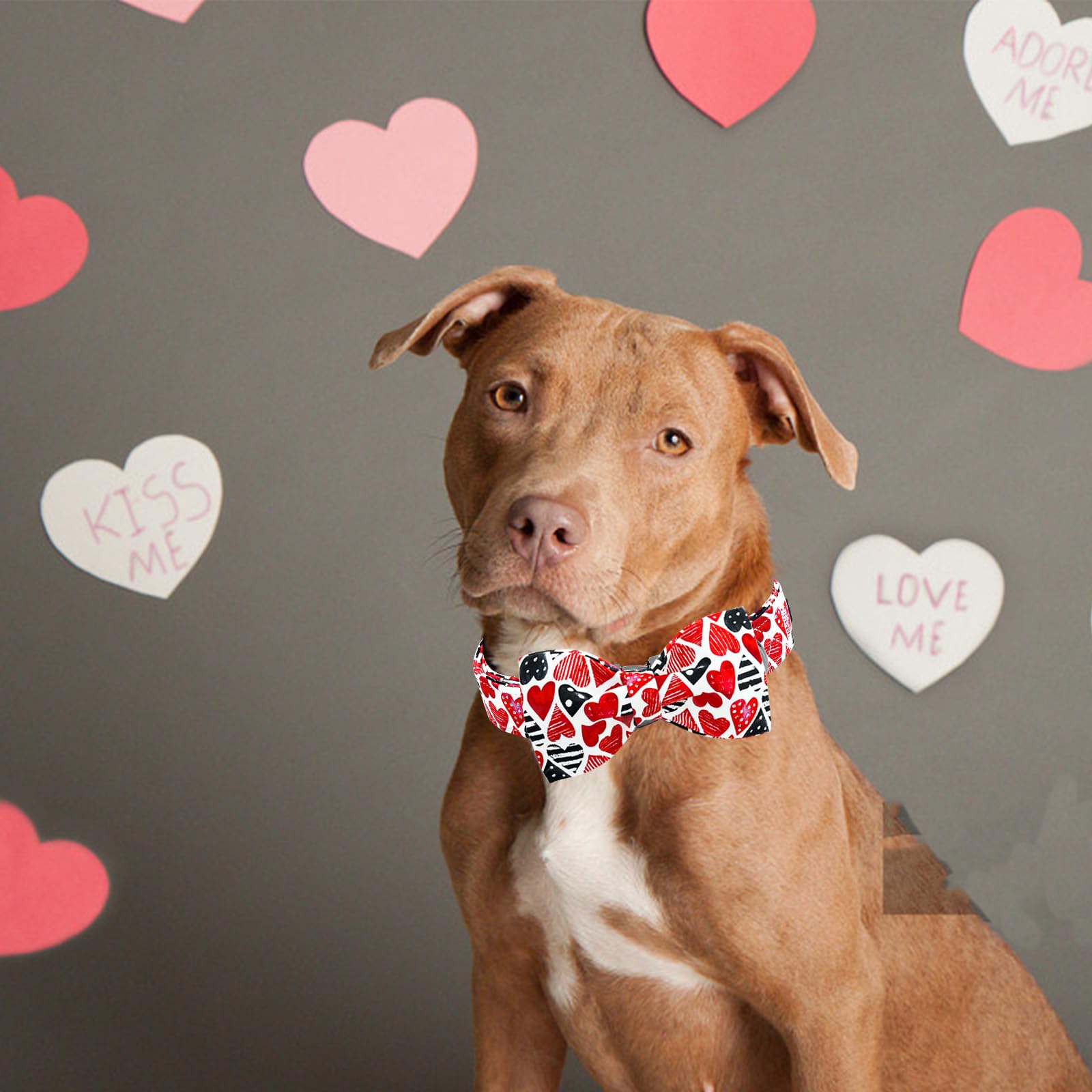Lionheart Glory Dog Bow Collar Valentine'S Day Dog Collar For X-Small Dogs Red Hearts Print Dog Collar With Bowtie Spring Dog Co