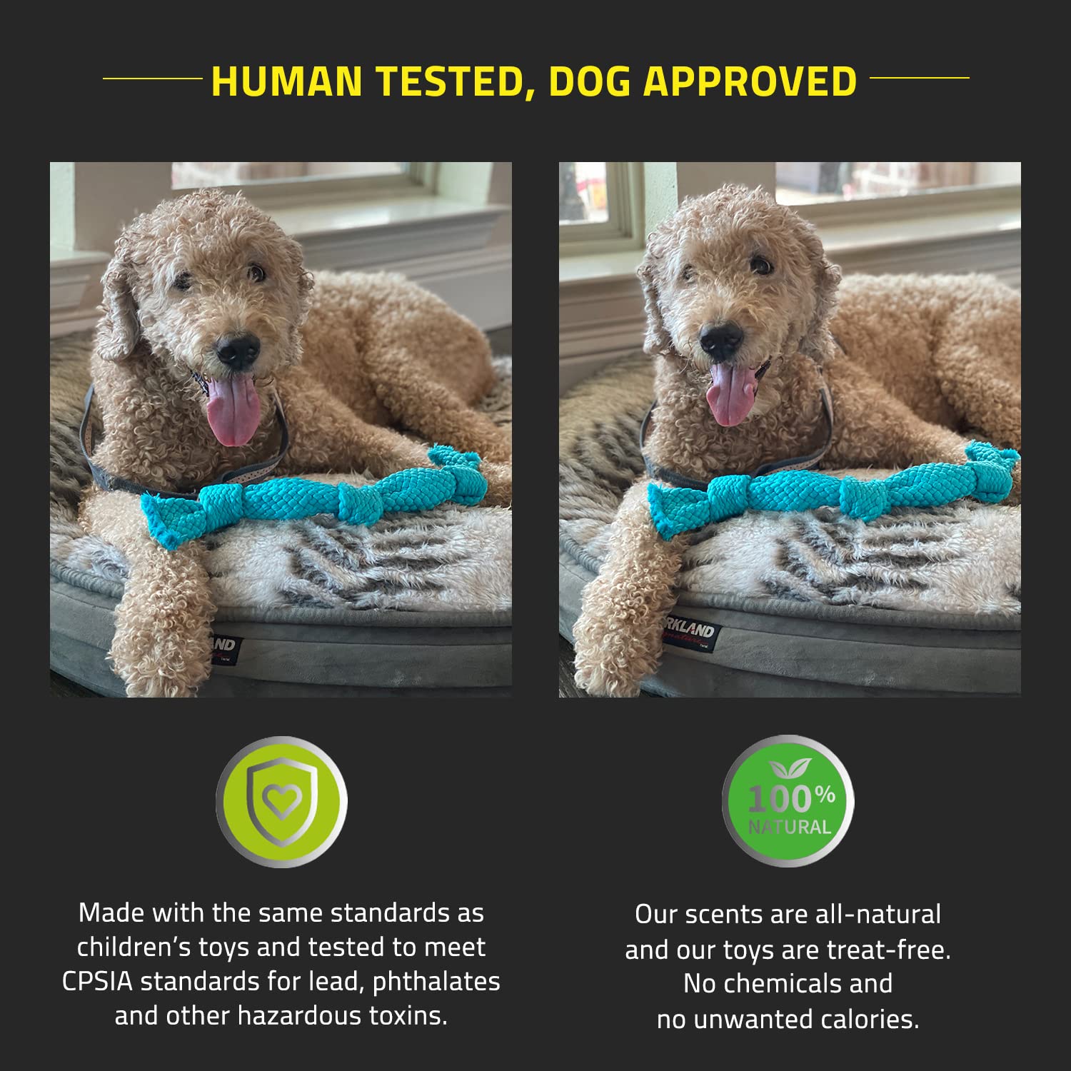 Playology Silver Dri-Tech Dental Rope Dog Toy, Medium - Designed For Senior Dogs (15-35Lbs) - Engaging All-Natural Peanut Butter Scented Toy - Non-Toxic Materials And Moderate Chewing For Older Teeth