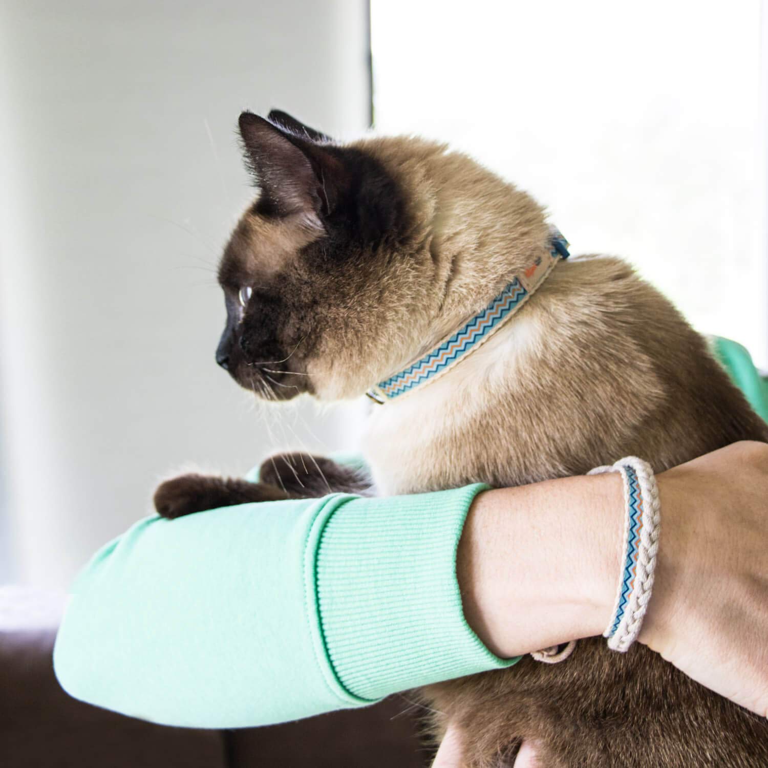 Pettsie Easy Adjustable Cat Collar Set, Safety Breakaway Buckle, Matching Friendship Bracelet, Soft Cotton For Sensitive Skin, Ideal For Kitty Lovers, Fits Neck Sizes 7.5-11.5 Inches, Blue