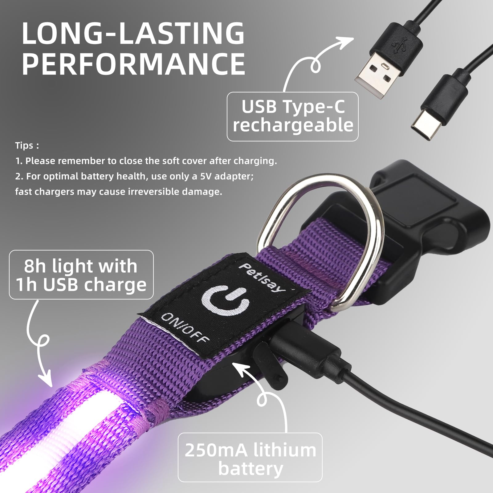 LED Dog Collar for Small Dogs Cats - Fully Waterproof & Adjustable Glow Collar - USB-C Rechargeable for Night Walking, Safety -