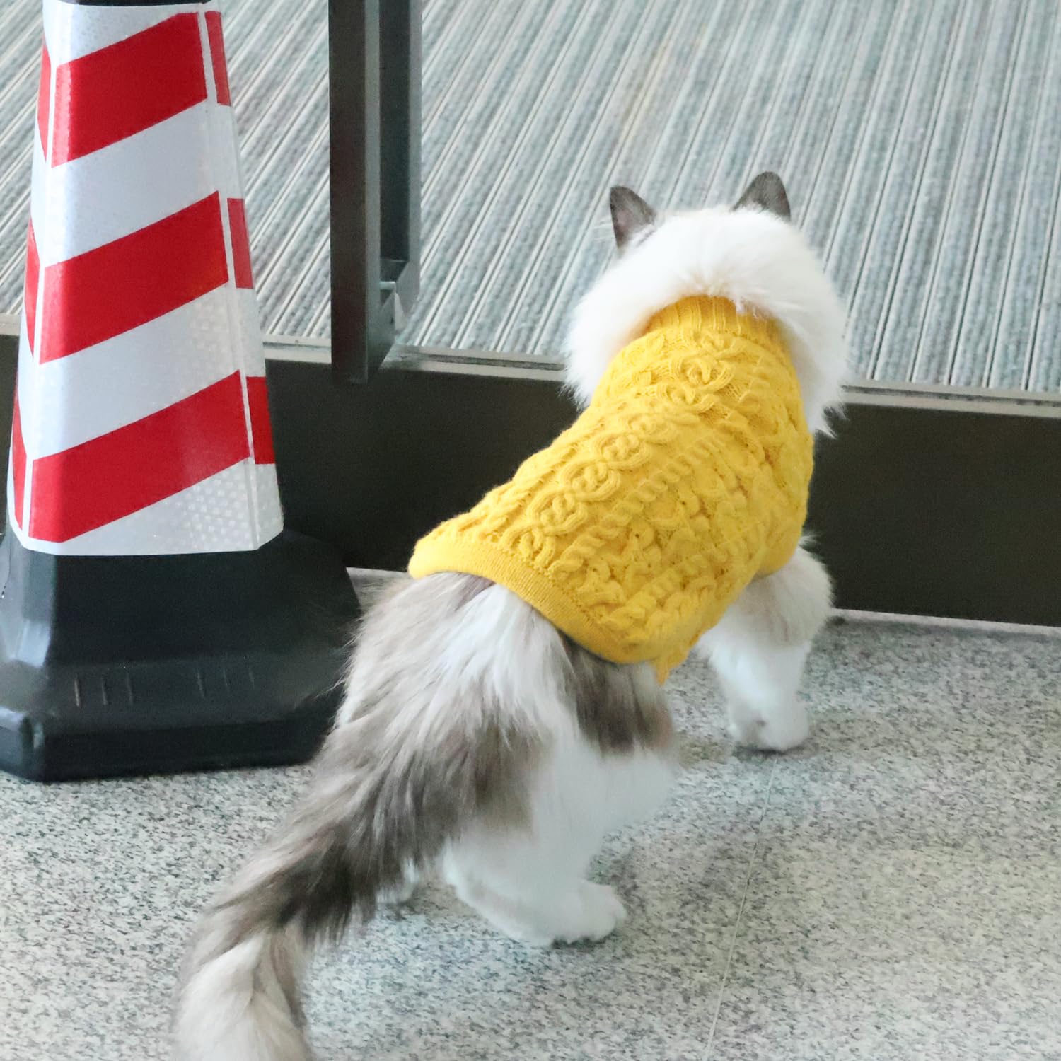 Knitted Warm Cat Clothes, Fall Winter Soft Pet Coat Sweater, Thermal Knitwear Apparel For Cats, Yellow (Small)