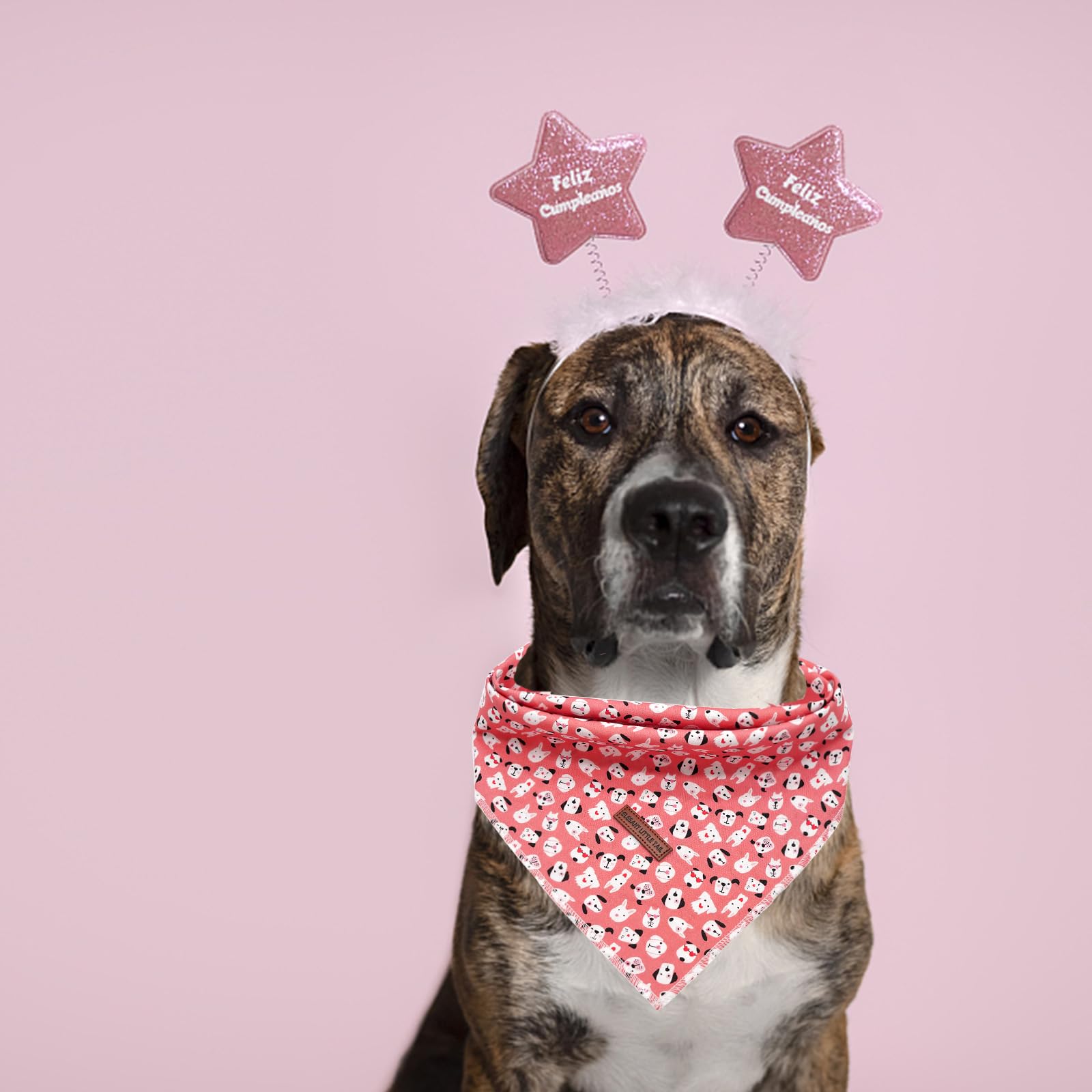 Elegant Little Tail Bandana, 1Pc Washable Dog Scarf - Cute Print Female/Male Square Bib Kerchief - Adjustable Pet Bandana For Me