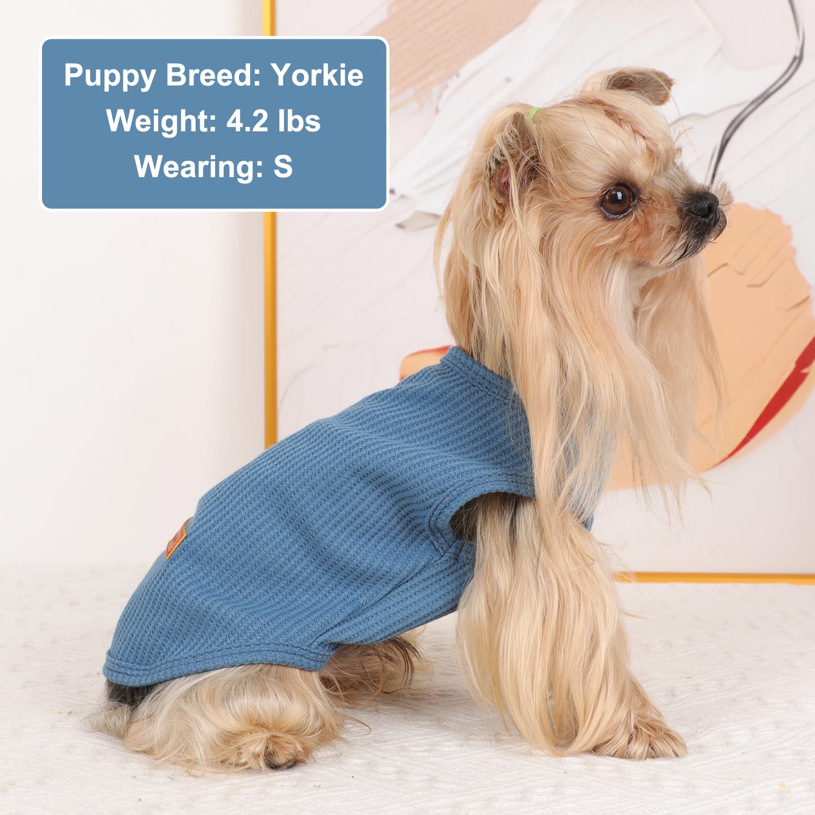 Kosiyi 2Pack Dog Shirt Vest Waffle Dog Clothes For Small Dogs Boy Girl Stretchy Spring Summer Puppy T-Shirts Soft Breathable Tan