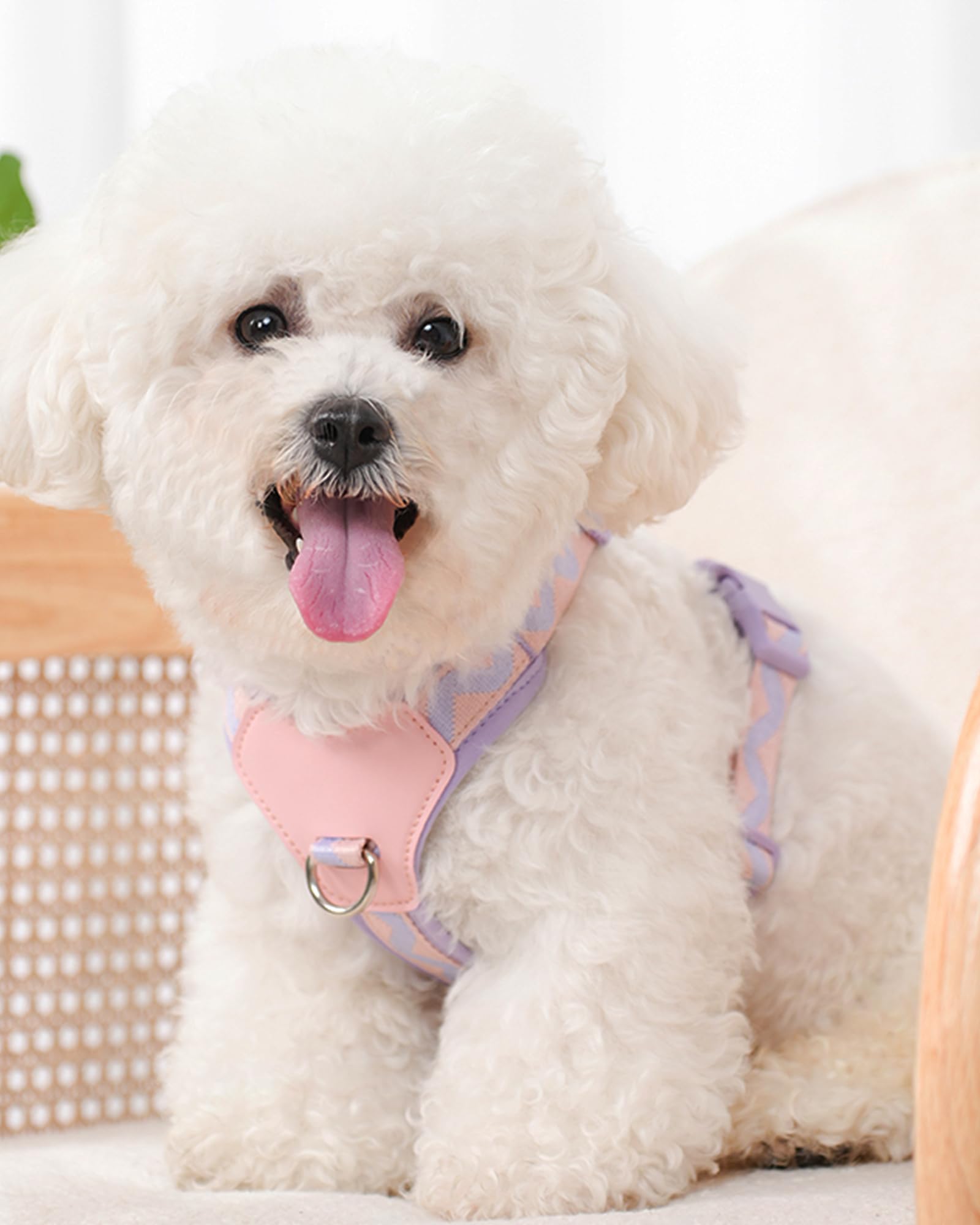 Petank Purple No Pull Dog Harness With 2 Leash Clips, Easy Walk Harness For Medium Dogs