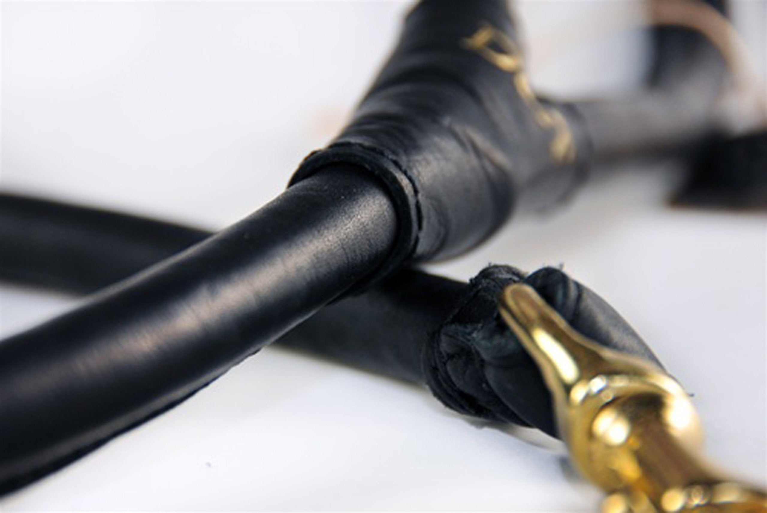 Dean And Tyler Tamed Beauty Rolled Leash, Black 6-Feet By 1/2-Inch Diameter With Handle And Solid Brass Hardware.