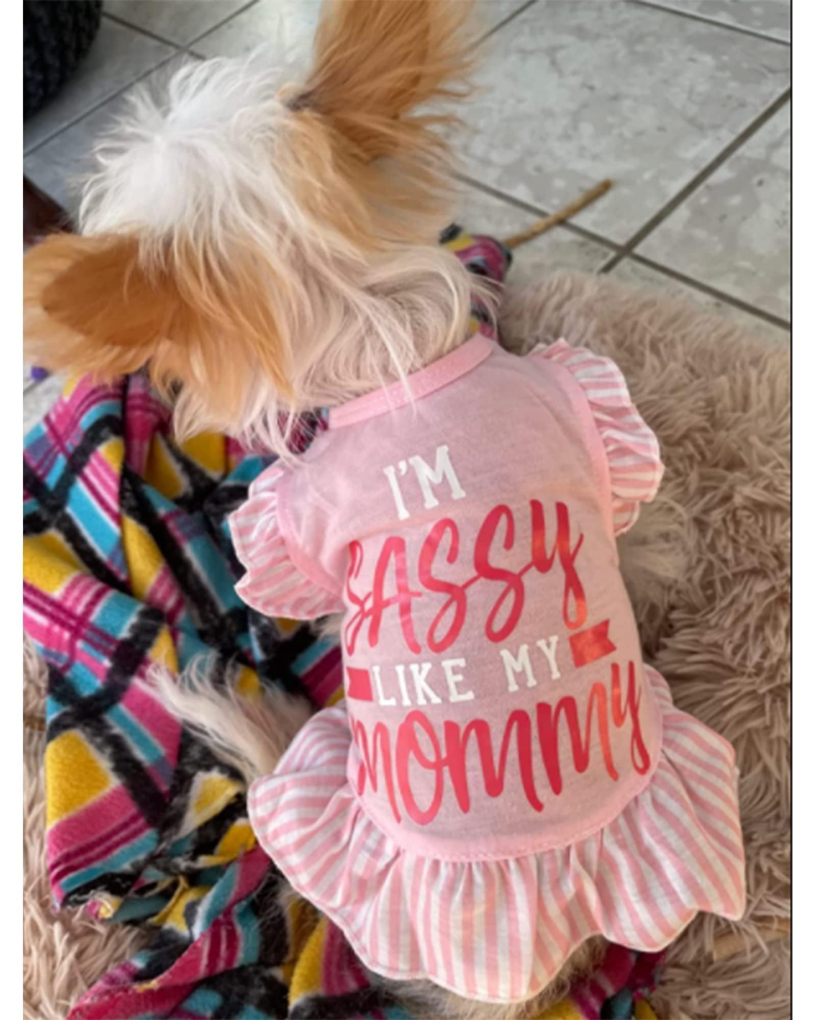 Xpudac 4 Pieces Pet Dog Dress Shirt Puppy Skirt Cute Doggie Dress Dog Summer Clothes Dog Apparel For Small Dogs And Cats (Pink Angel, X-Small(2-3.5 Lbs))