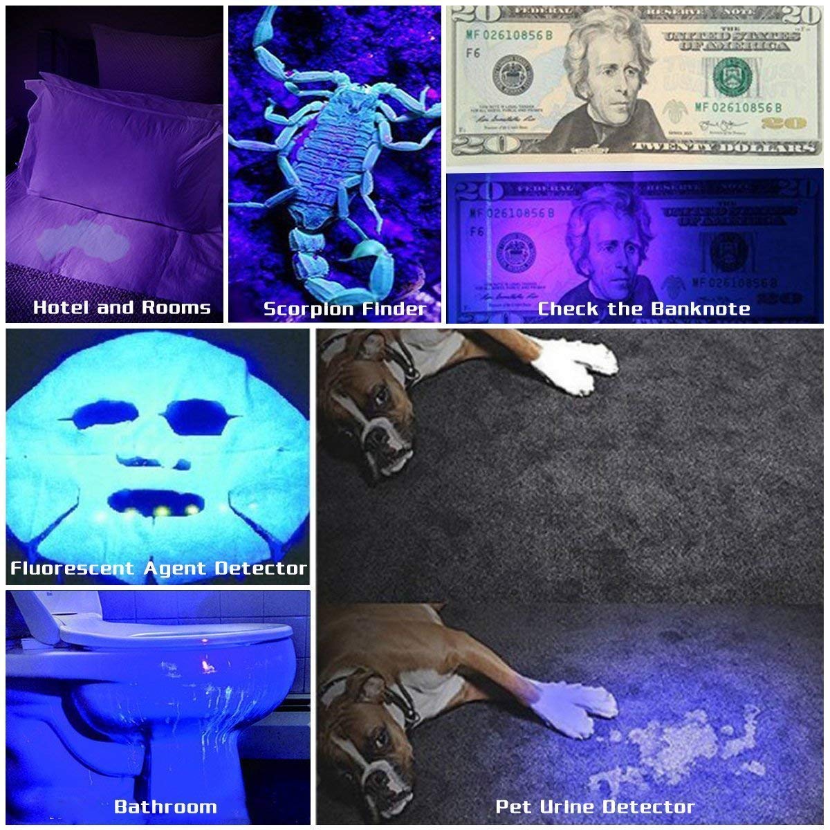 UV Flashlight Black Light, 100 LED Blacklight Flashlite Pet Urine Detector for Dry Dog/Cat Urine Stains Detection, Bed Bug, Scor