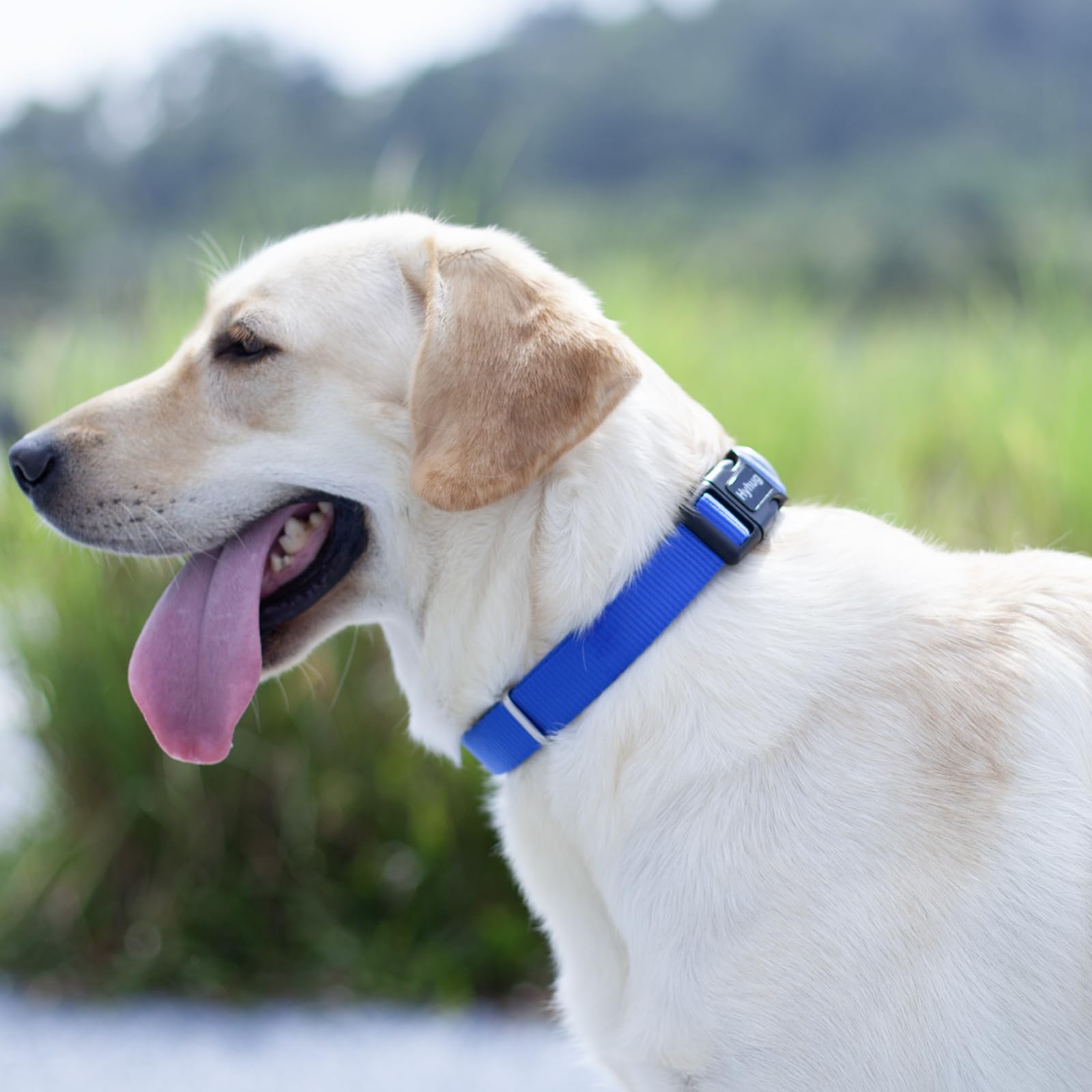 Hyhug Pets Solid Color Classic Regular Heavy Duty Basic Collar For Medium Dogs, Unique Design Adjustment Triglide Slide (Buckle)