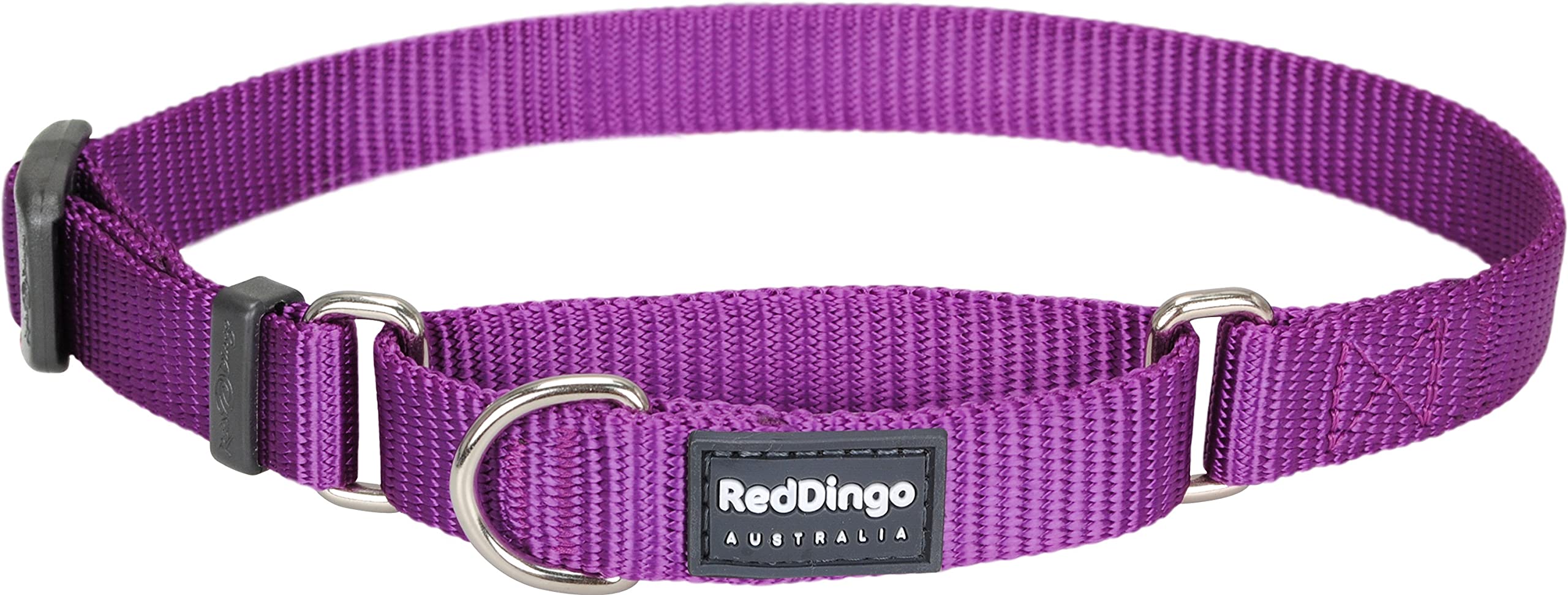 Red Dingo Classic Martingale Dog Collar, Small, Purple