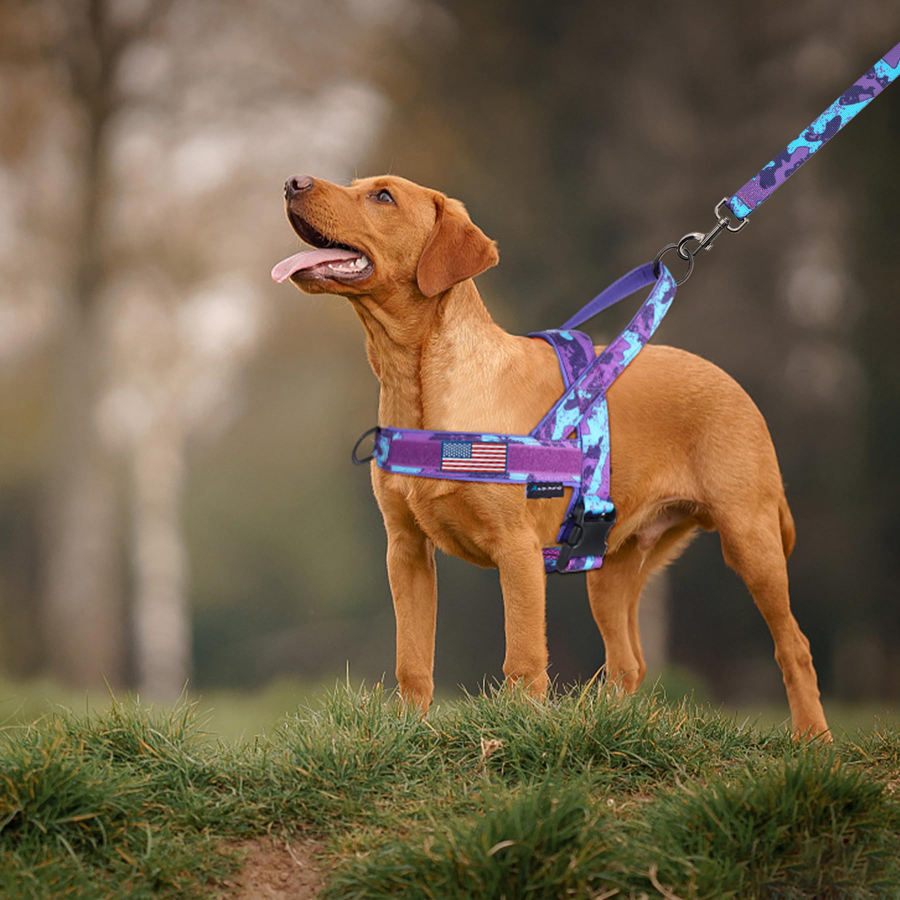 Annchwool No Pull Dog Harness with Padded Handle & Leash, XL, Camo Purple Set, Escape Proof, Easy Fit for Small to Large Dogs