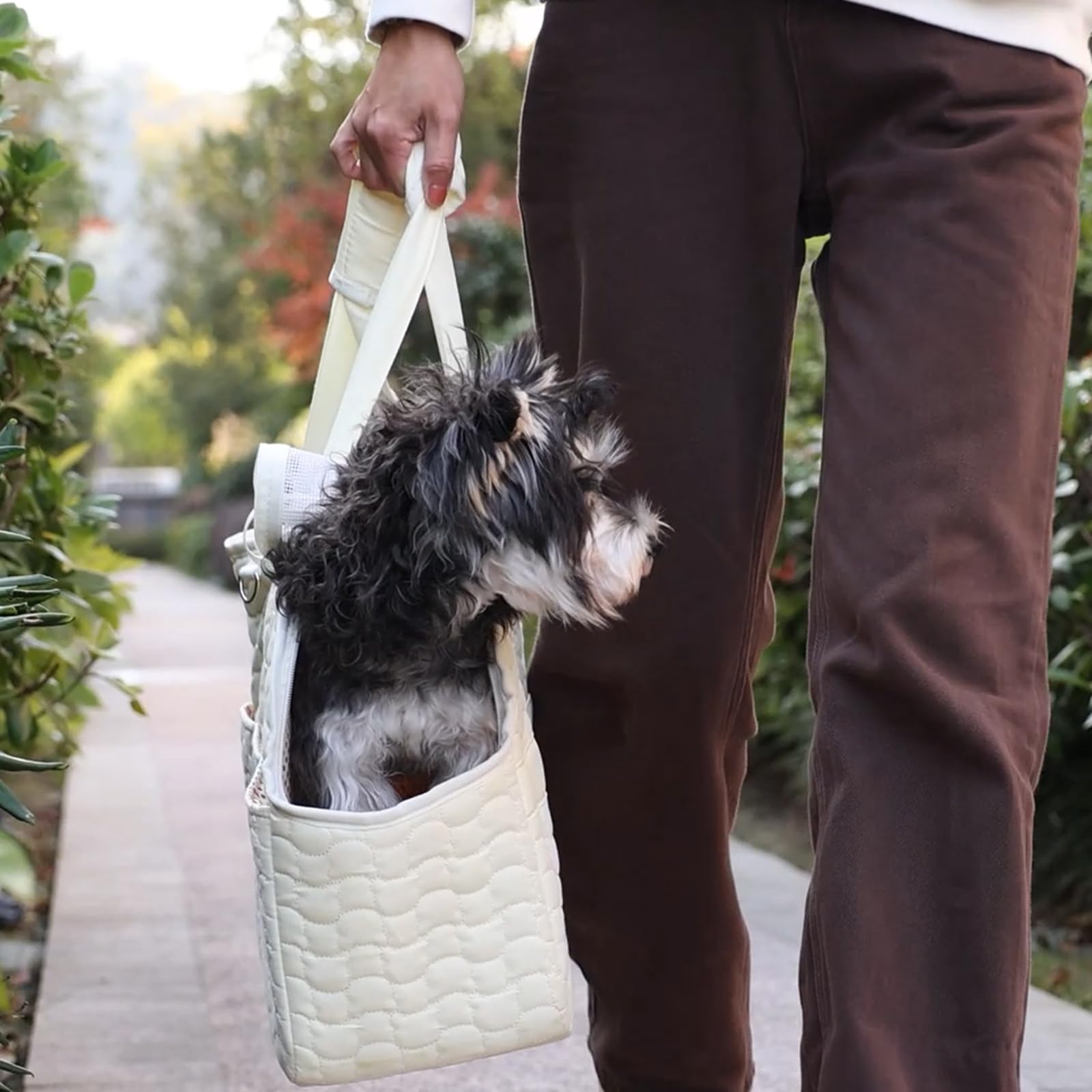 Patazone Small Dog Purse Cat Carrier Bag,Adult Cat/Puppy Carriers Bag Large Cat With Multiple Pockets,Breathable Mesh Soft Cushi