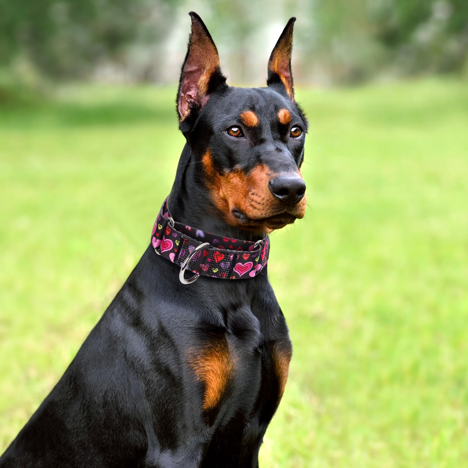 Valentine'S Day 1.5 Inch Wide Martingale Dog Collar, Cute Loving Heart Collar For Medium Large Extra Large Dogs -Heart M