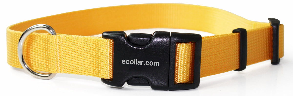 Educator Nylon Quick Snap Dog Collar, Fast, Easy Connect And Disconnect Clasp, D Ring, Adjustable For Custom Fit, 1-Inch, Yellow