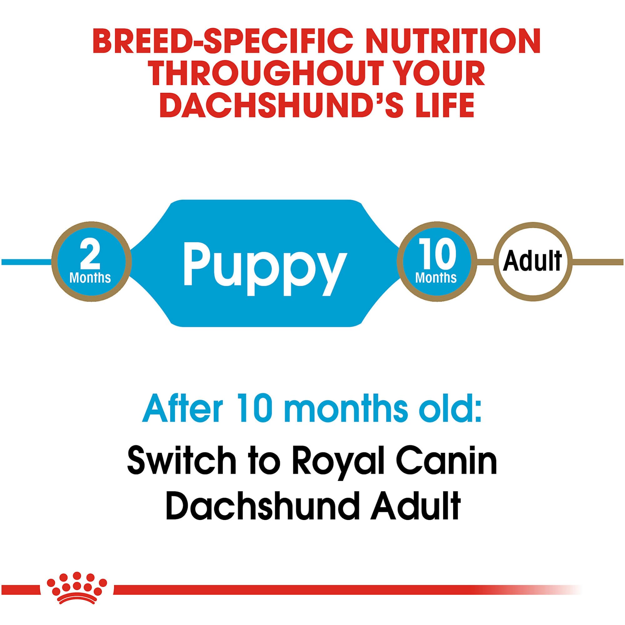 Royal Canin Dachshund Puppy Breed Specific Dry Dog Food, 2.5 lb bag