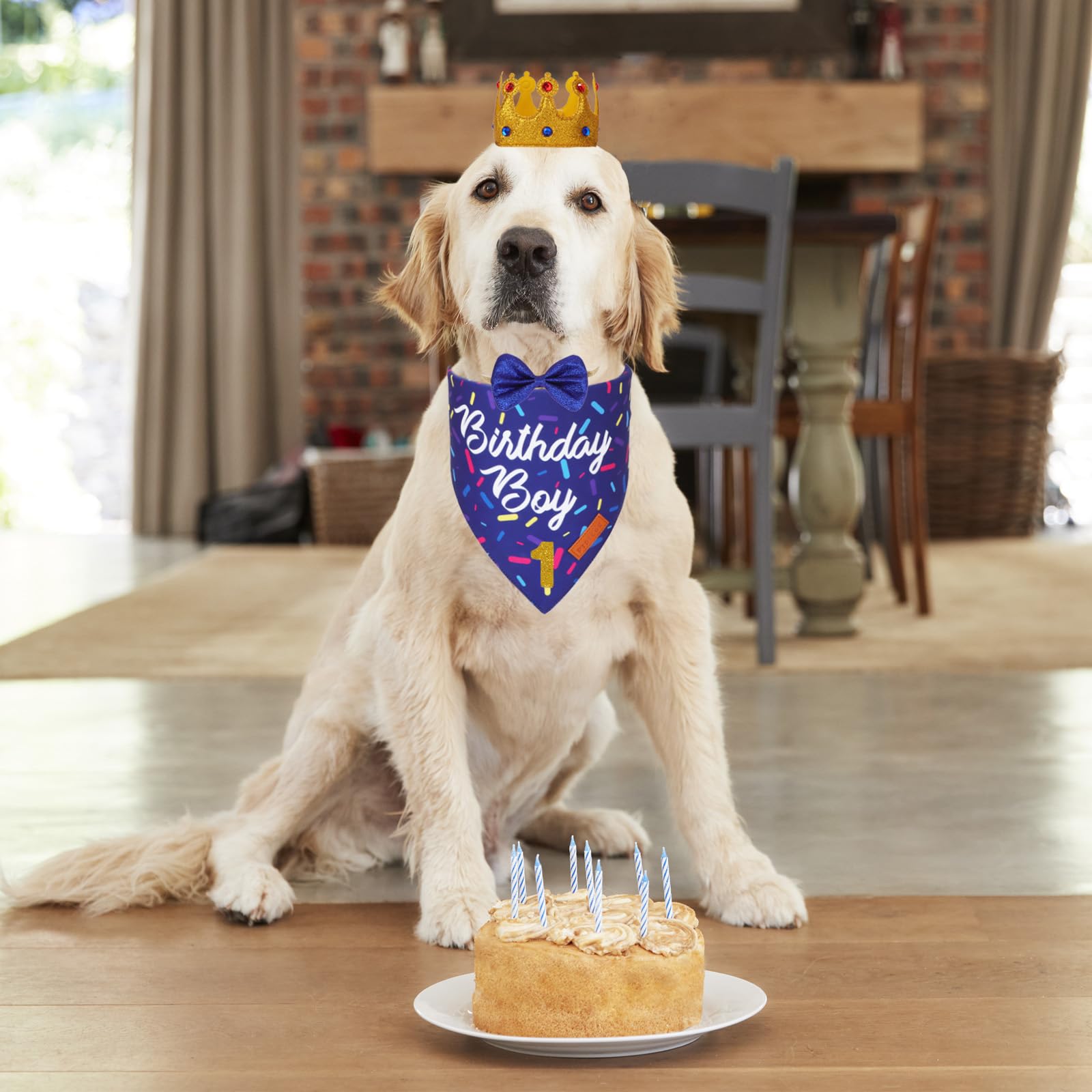 Ptdecor Dog Birthday Party Supplies, Birthday Boy Bandana Golden King Crowns With Numbers Puppy Blue Dog Bow Set For Medium Larg