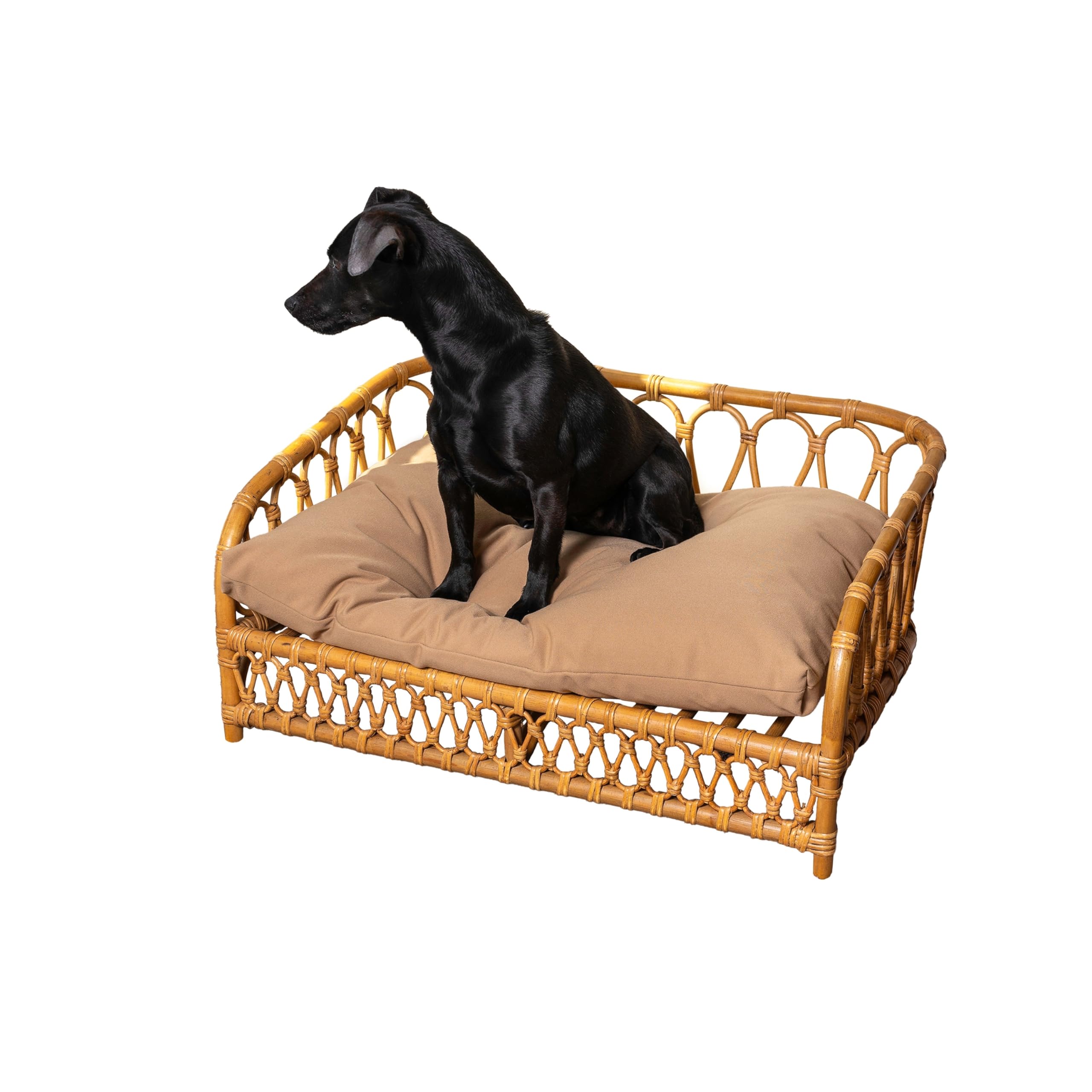 The LICKER Store DBD1005A Elevated 27.5 x 17 Bohemian Handwoven Rattan Dog Daybed with Machine-Washable Cushion, Natural