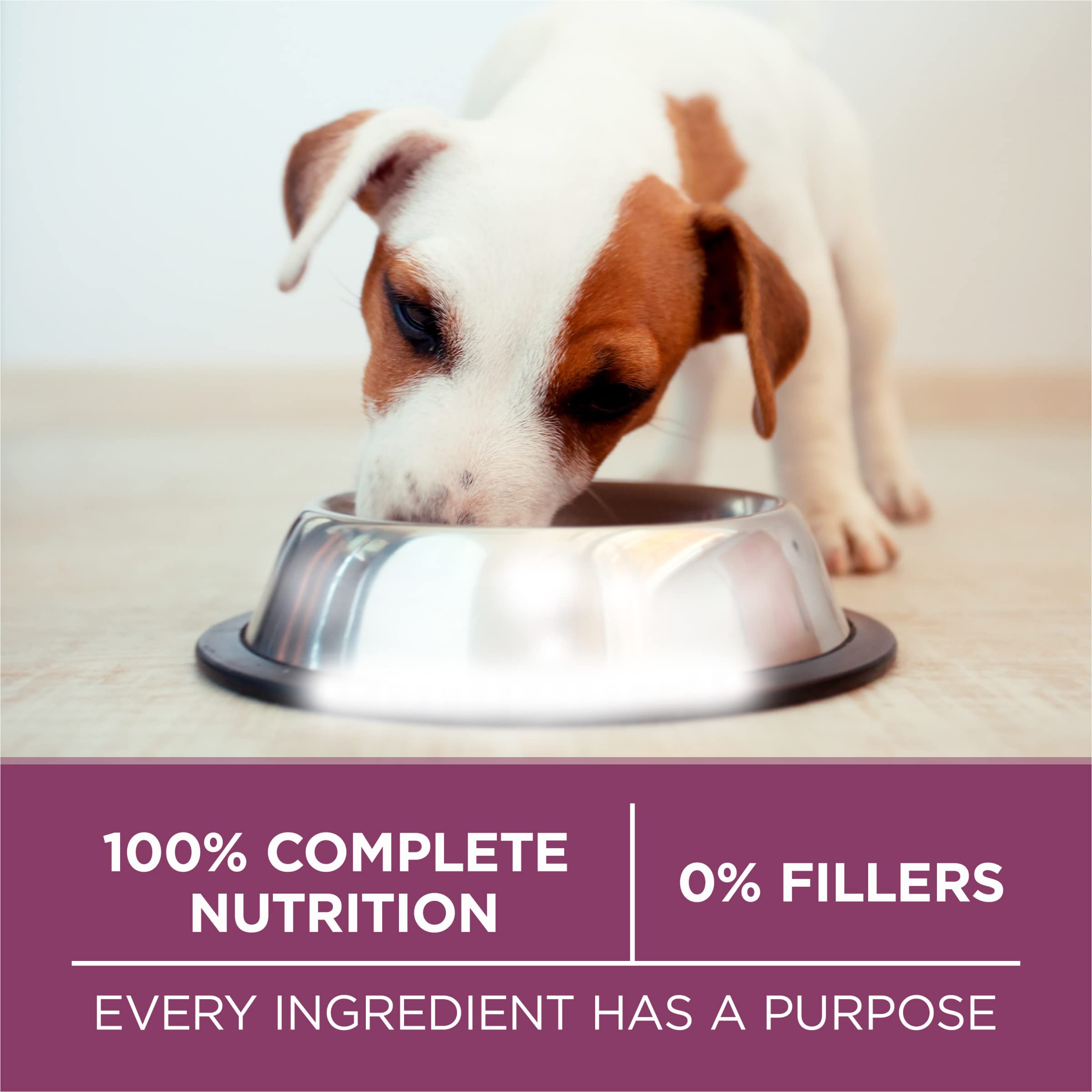 Purina ONE Plus Healthy Puppy Formula High Protein Natural Dry Puppy Food with added vitamins, minerals and nutrients - 8 lb. Ba