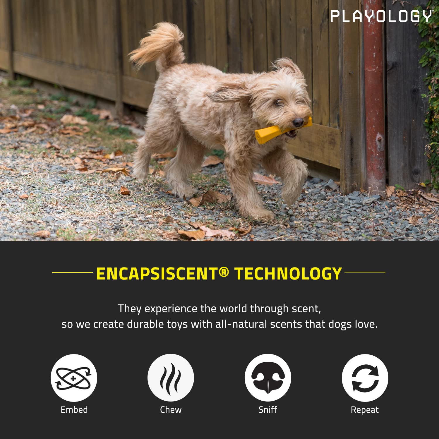 Playology Squeaky Chew Stick Dog Toy for Large Dogs - Cheddar Cheese Scented, Non-Toxic Rubber, Ideal for Moderate Chewers