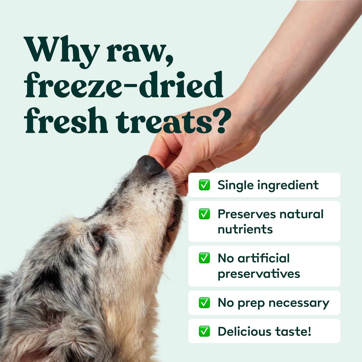 Little Hunter Freeze-Dried Raw Quail Egg Yolk for Dog & Cat Treats | Single-Ingredient High Protein, High Omega-3, Grain & Glute