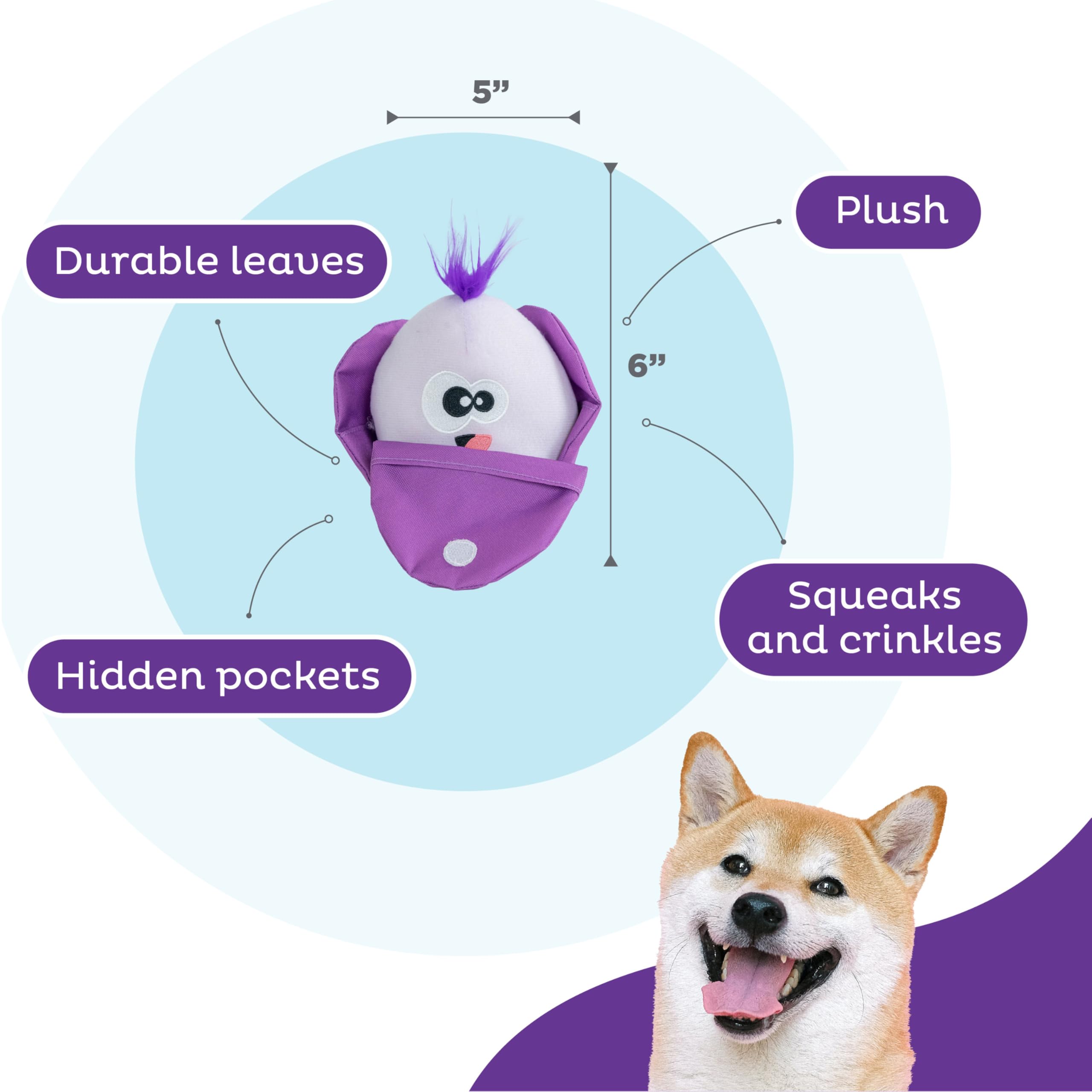 Outward Hound Hide N' Find Interactive Plush Dog Puzzle Toy, Durable, Cauliflower, Purple, Model 71613