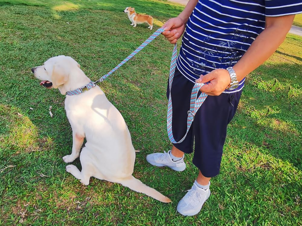 Red Plaid Dog Collars For Large Dogs, Pretty Pattern Dog Collar Metal Buckle Durable Soft Girl Puppy Collars For Xsmall Small Me