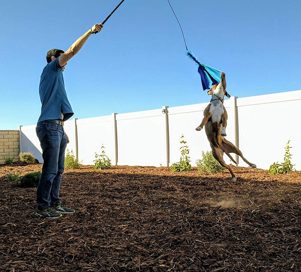 Amyese Interactive Dog Toys - Extendable Flirt Pole With 2Pcs Fleece Lure Tugs For Dog Outdoor Entertainment, Train And Exercise, New Blue