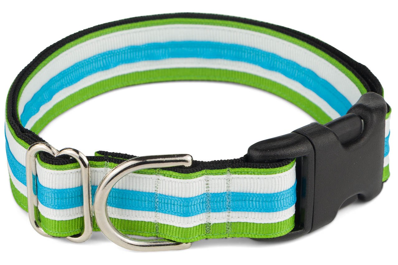 If It Barks 1'' Designer Striped Dog Collar (Medium (15''-22''), Pacific)
