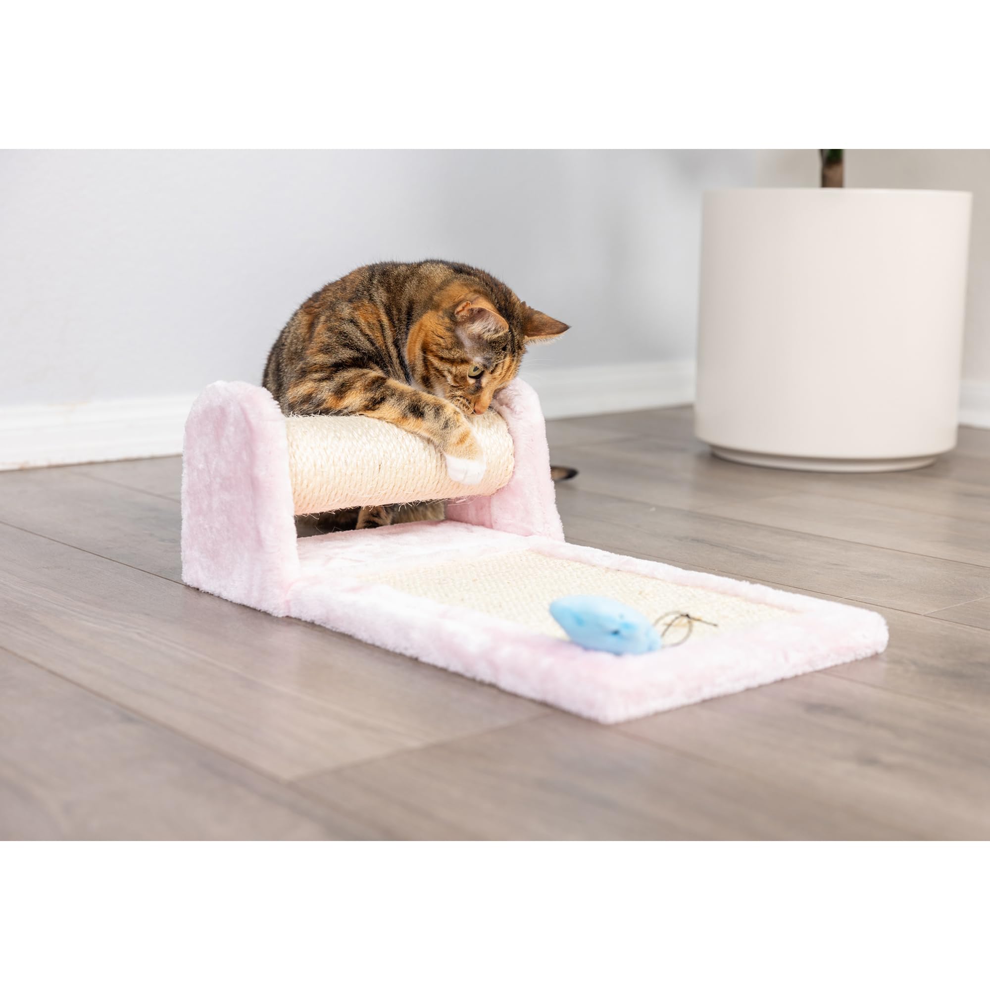 Armarkat Rolling Real Wood Cat Scratcher Toy, Sisal Scratching Board for Cats Training